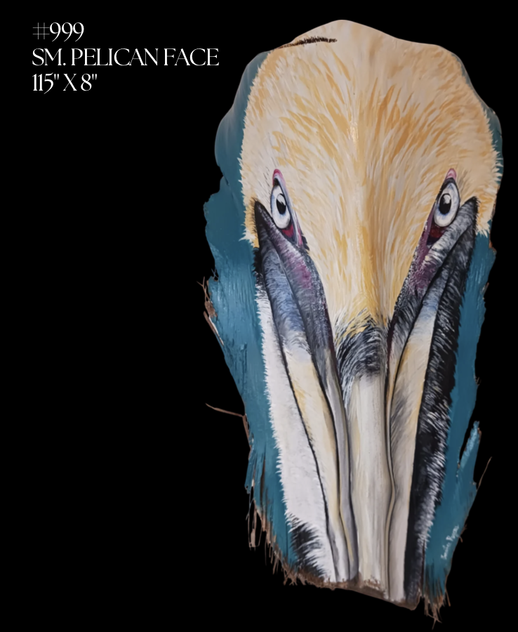 #999
SM. PELICAN FACE
115" X 8"