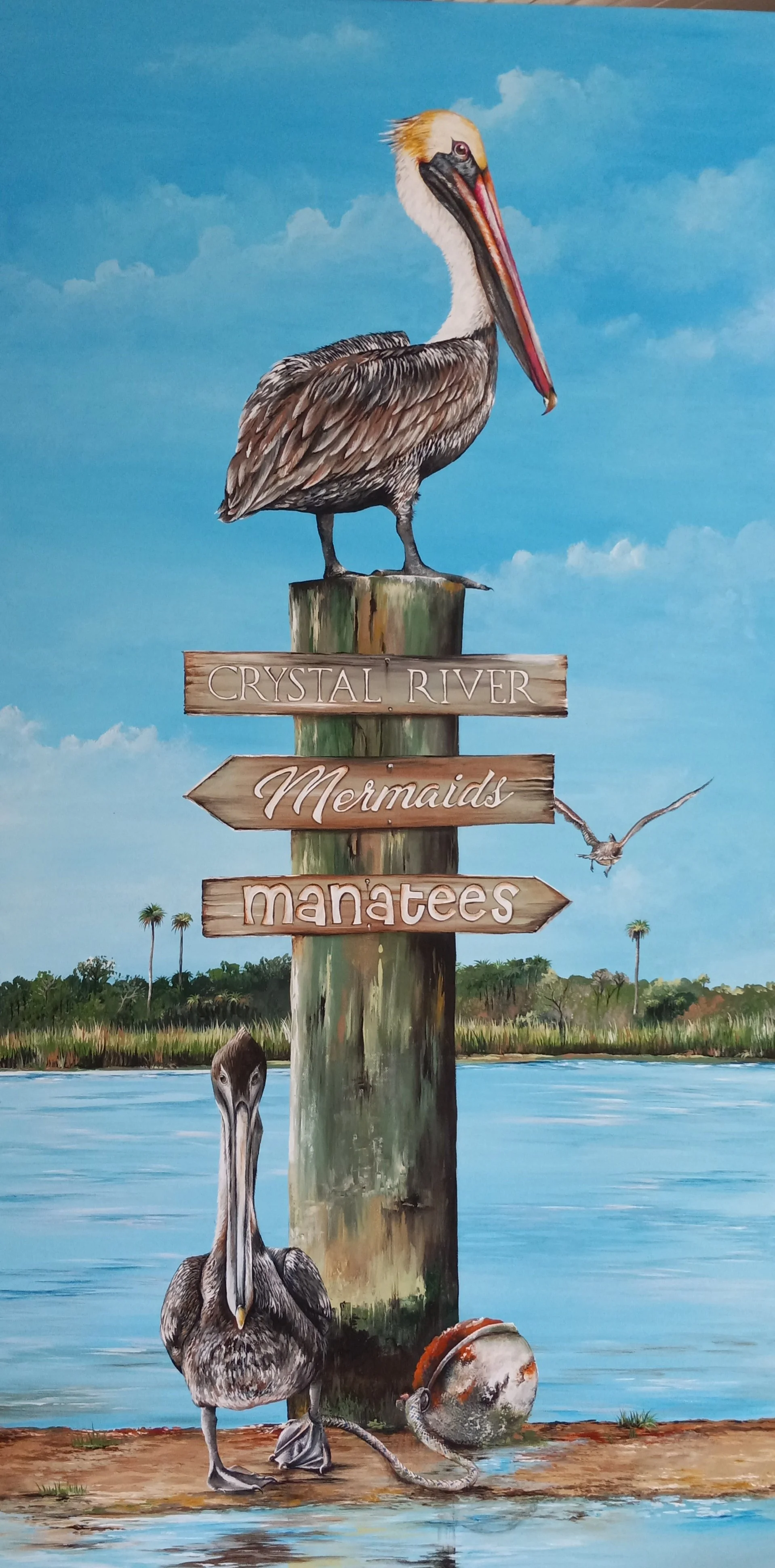 35 Pelican Piling directional signs 24x48.jpg