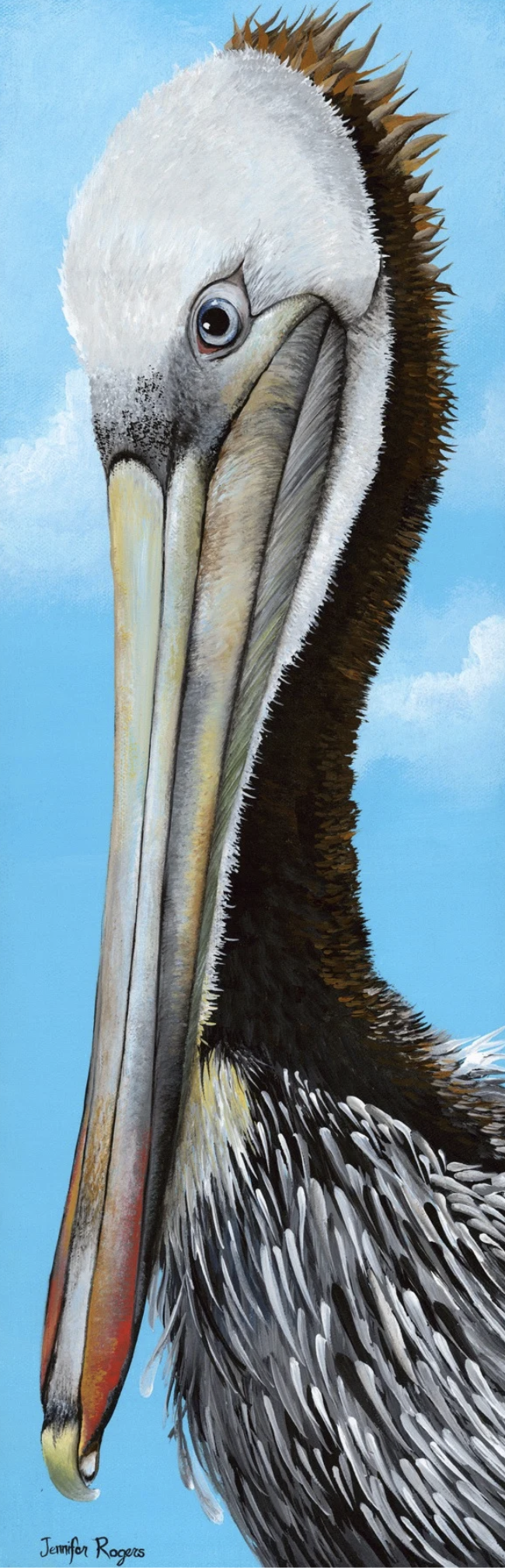 Pelican Face