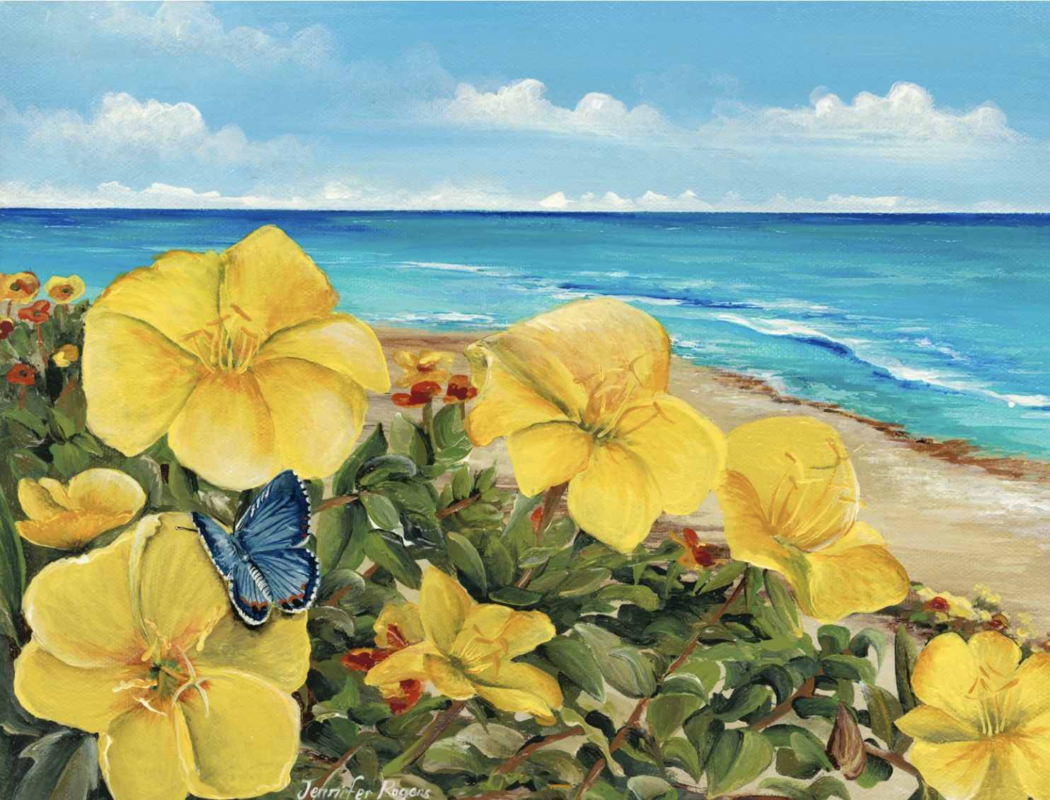 Evening Primrose - February Flower - Miami Blue Butterfly