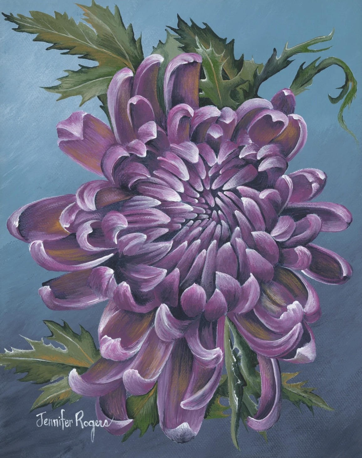 Chrysanthemum - November Flower