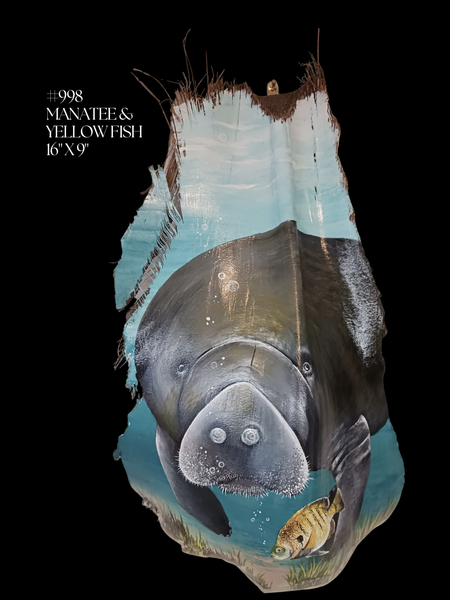 #998
MANATEE &
YELLOW FISH
16" X 9"