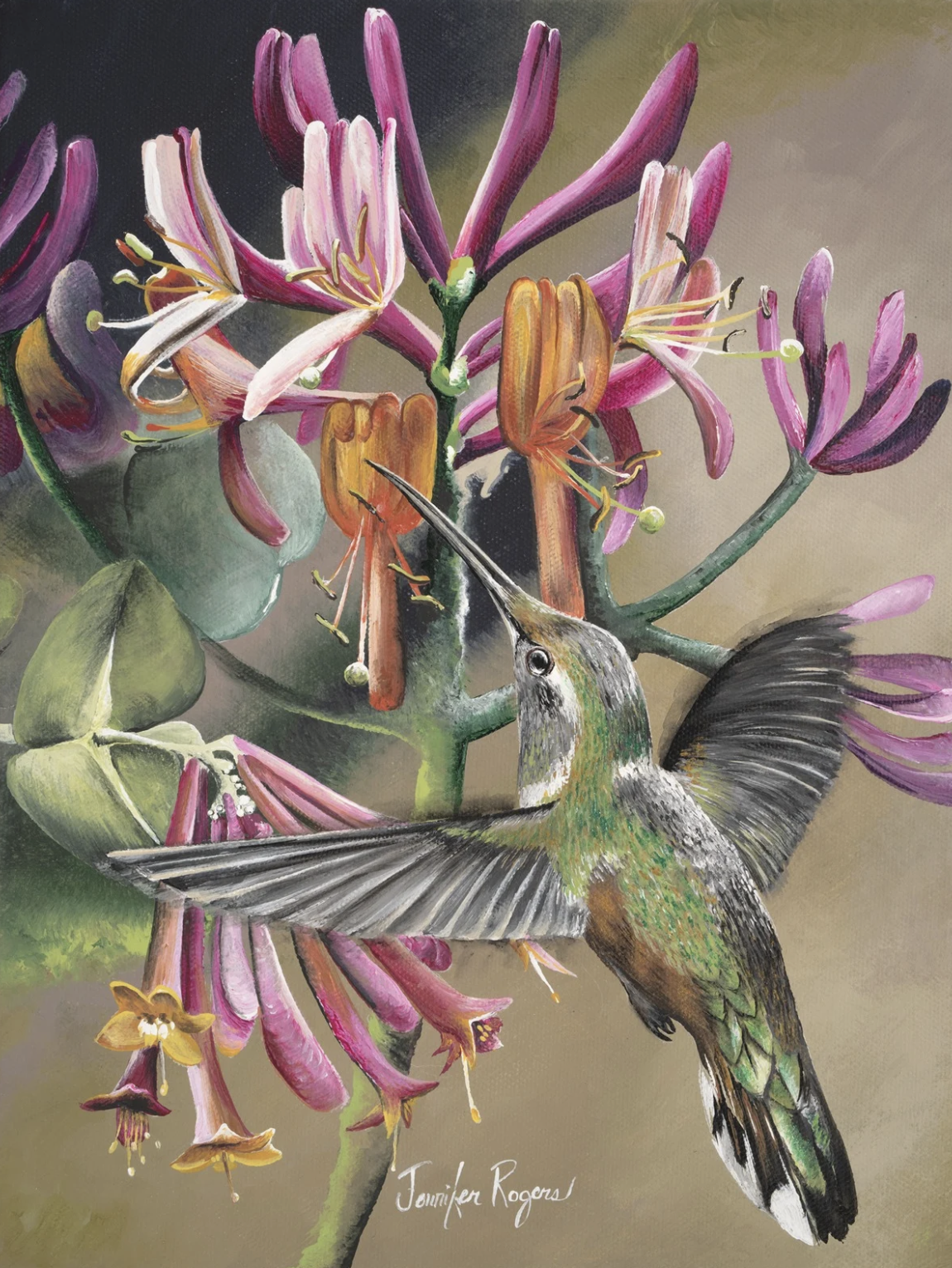 Honeysuckle & Hummingbird - June Flower