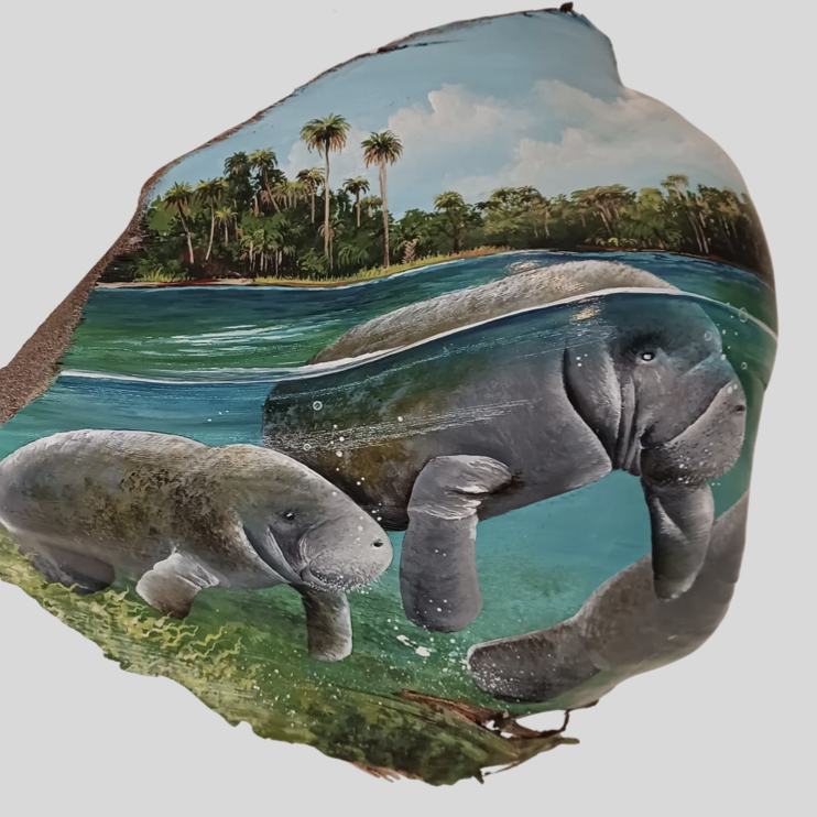 #996
MANATEE’S
14" X 12"