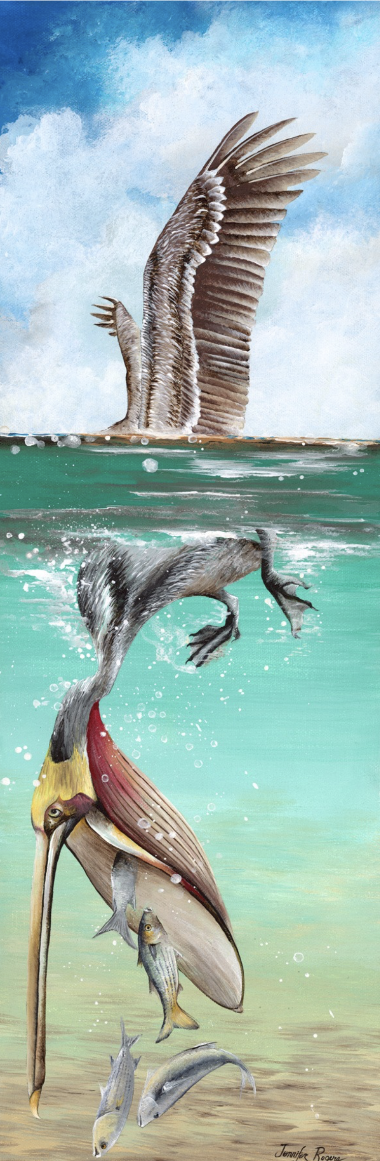 Diving Pelican