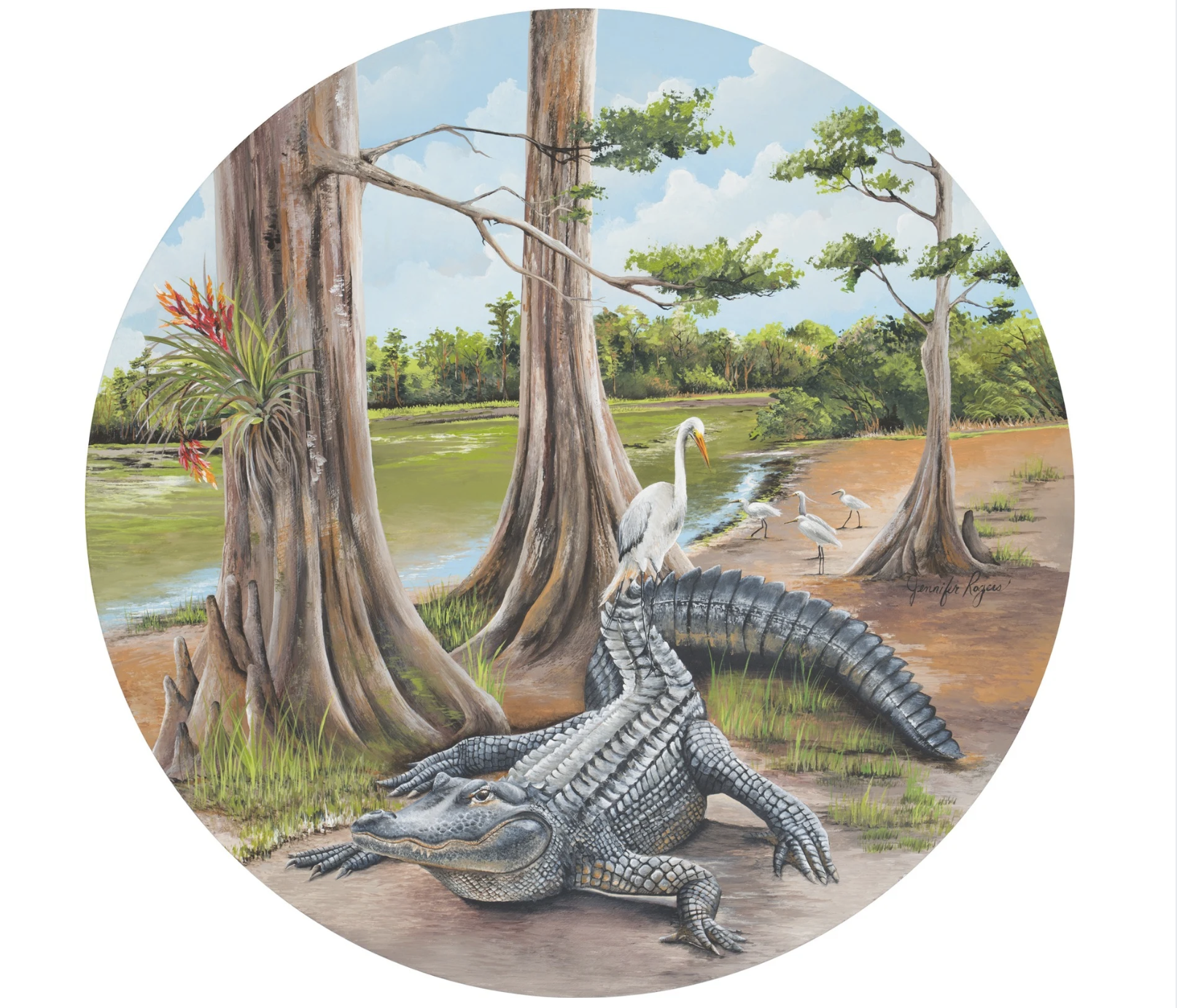 Florida Gator and White Egret