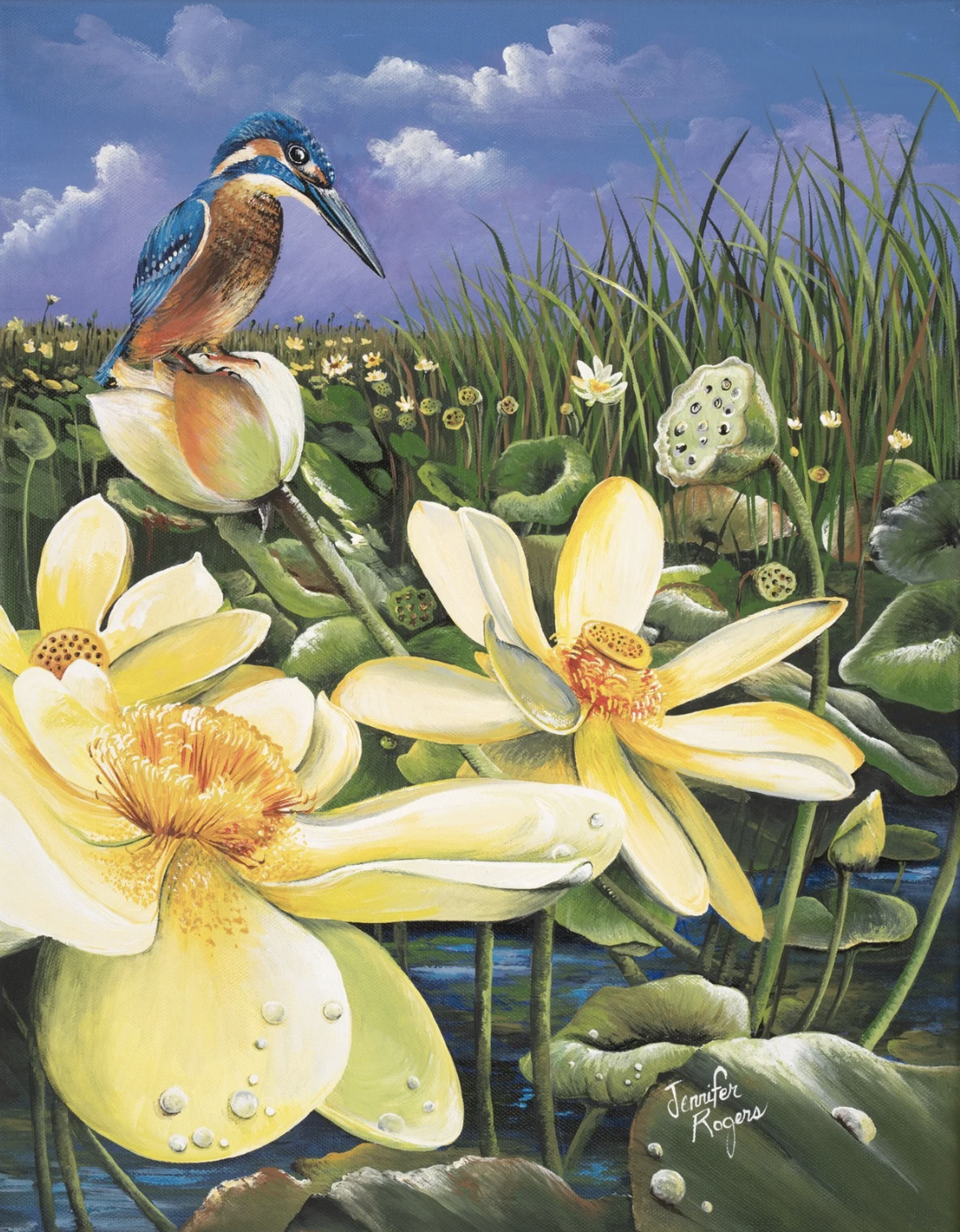 Water Lily & Kingfisher - July Flower