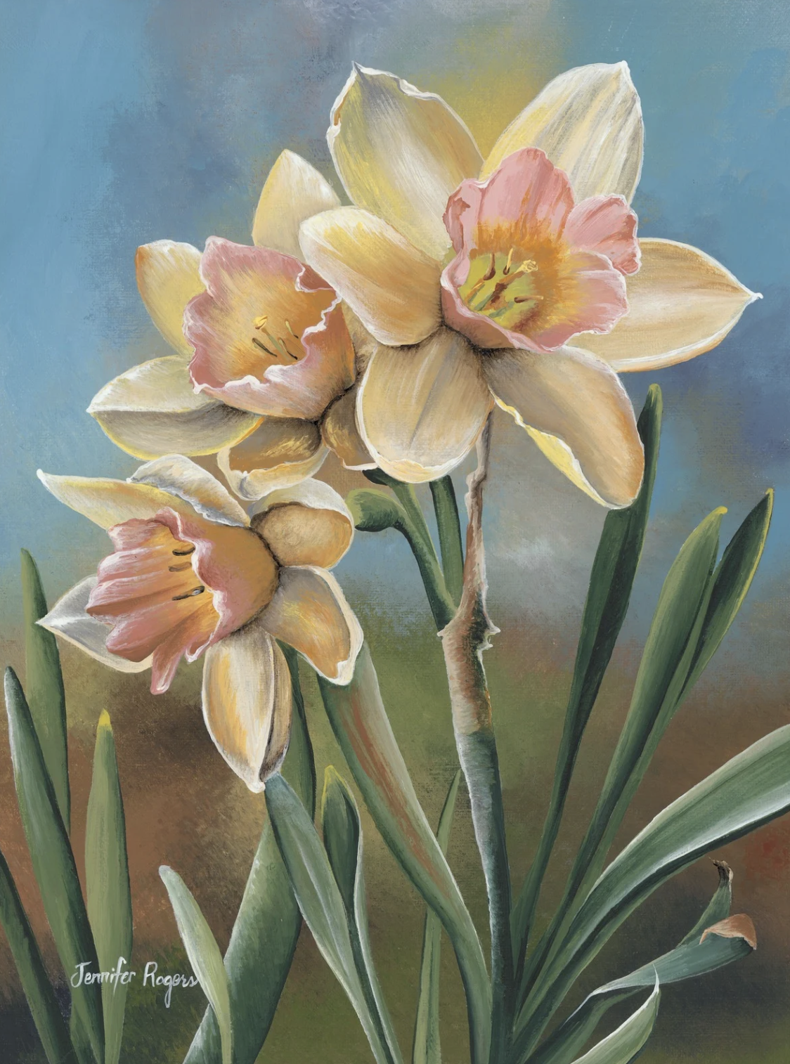 Narcissus - December Flower
