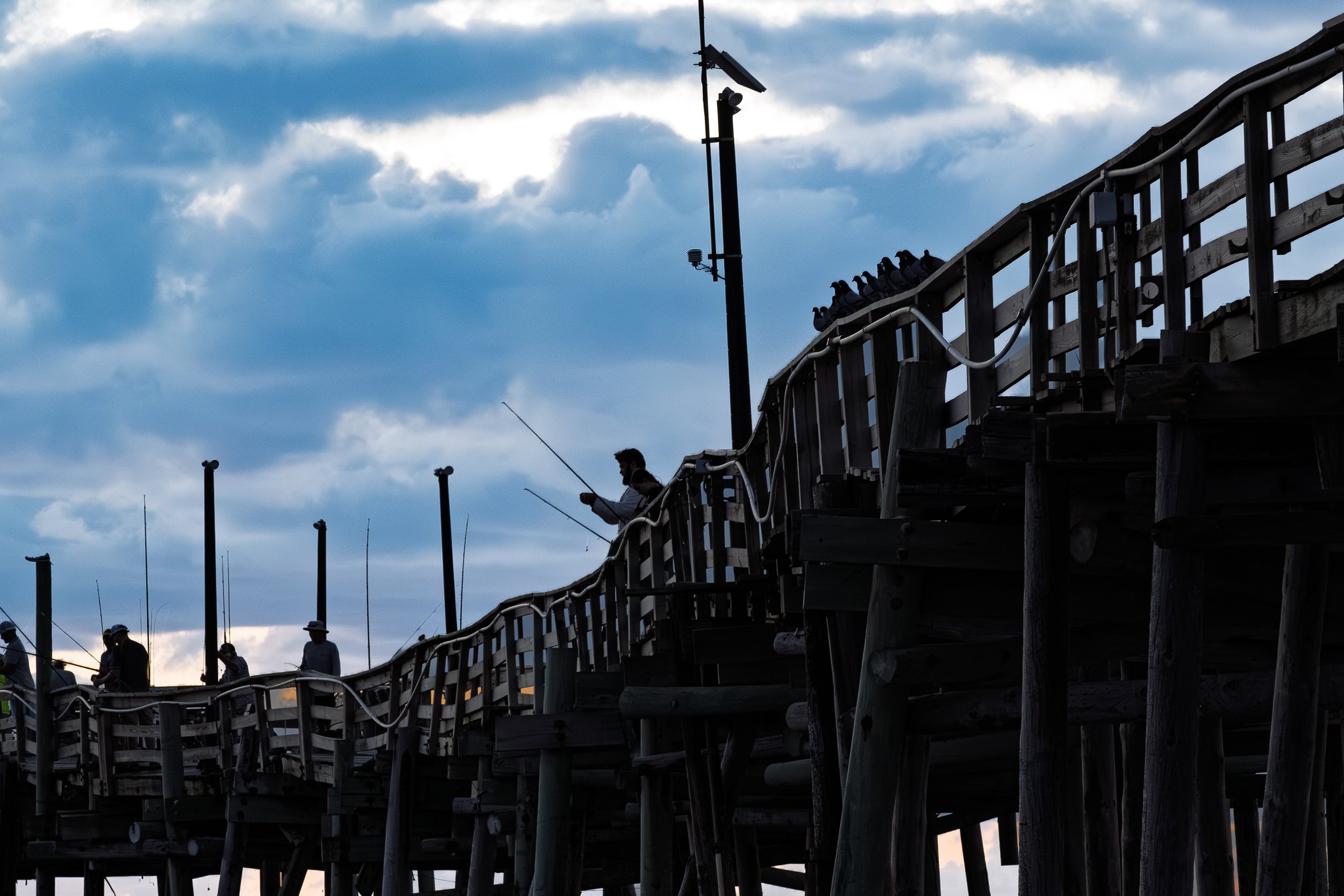 Maybe this morning will be the day - on Avon Pier
