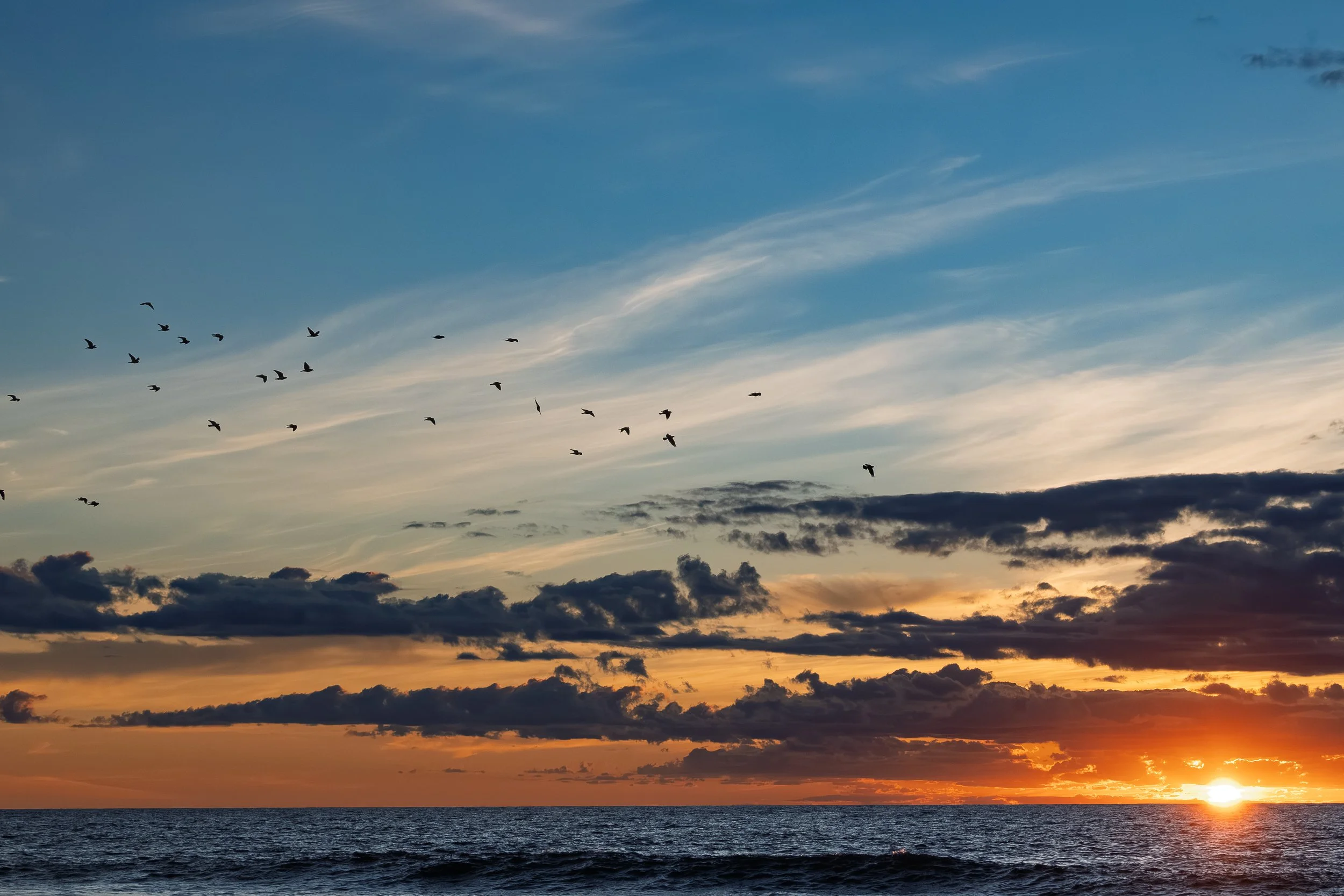 Welcome to the Outer Banks - a beautiful sunrise over the ocean with the birds flying away
