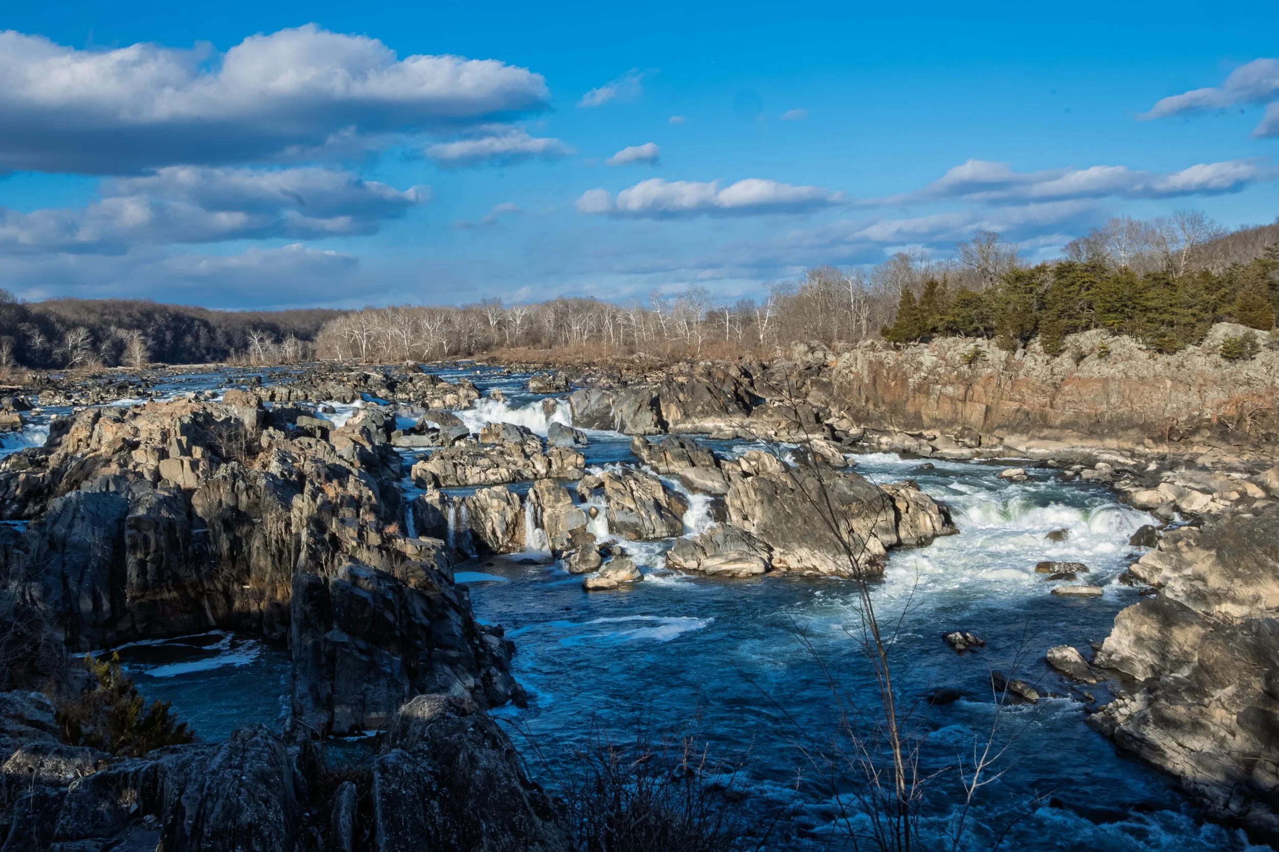 DSC_6614.jpg