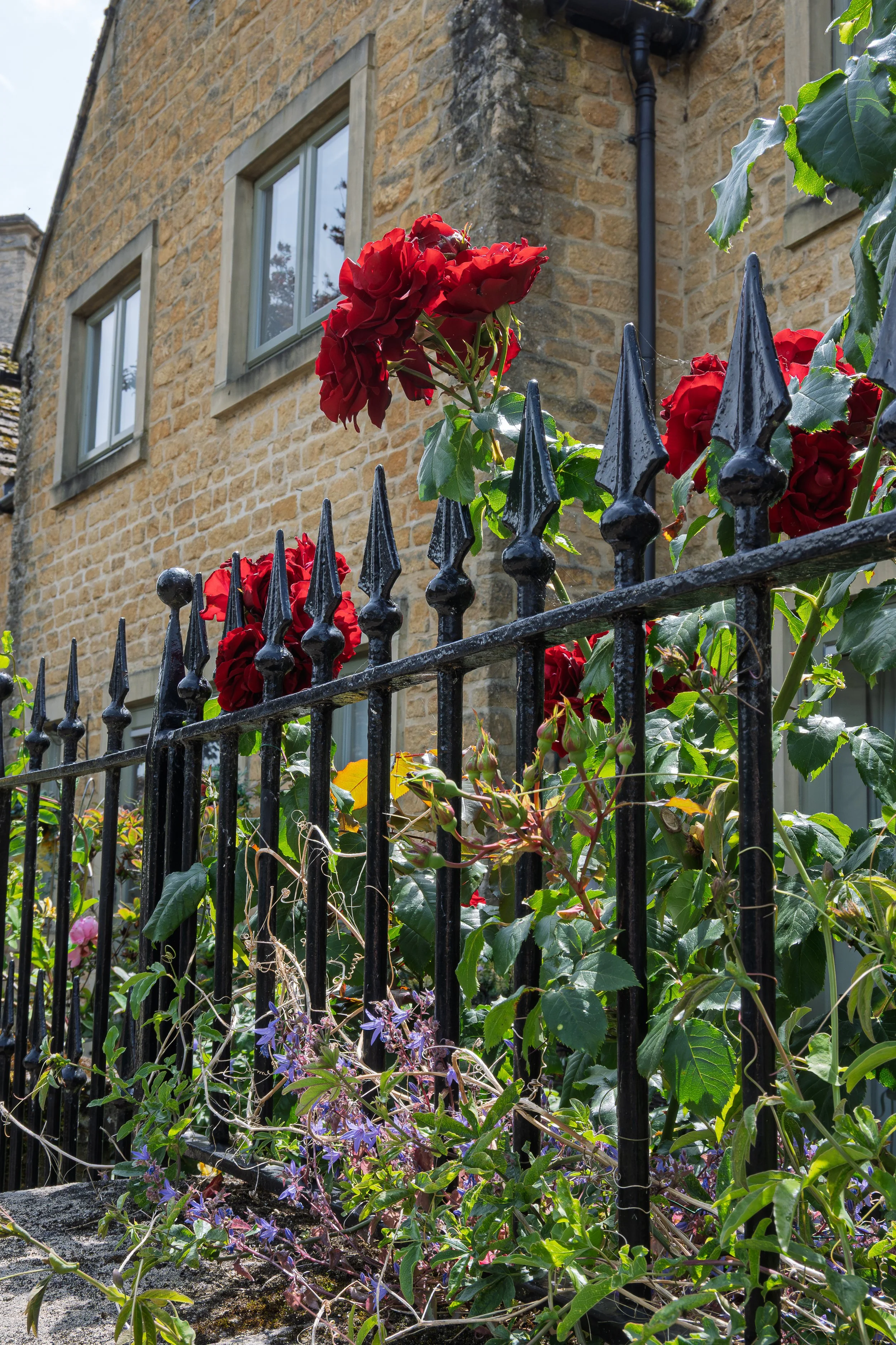 English Gardens in Bourton-on-the-Water