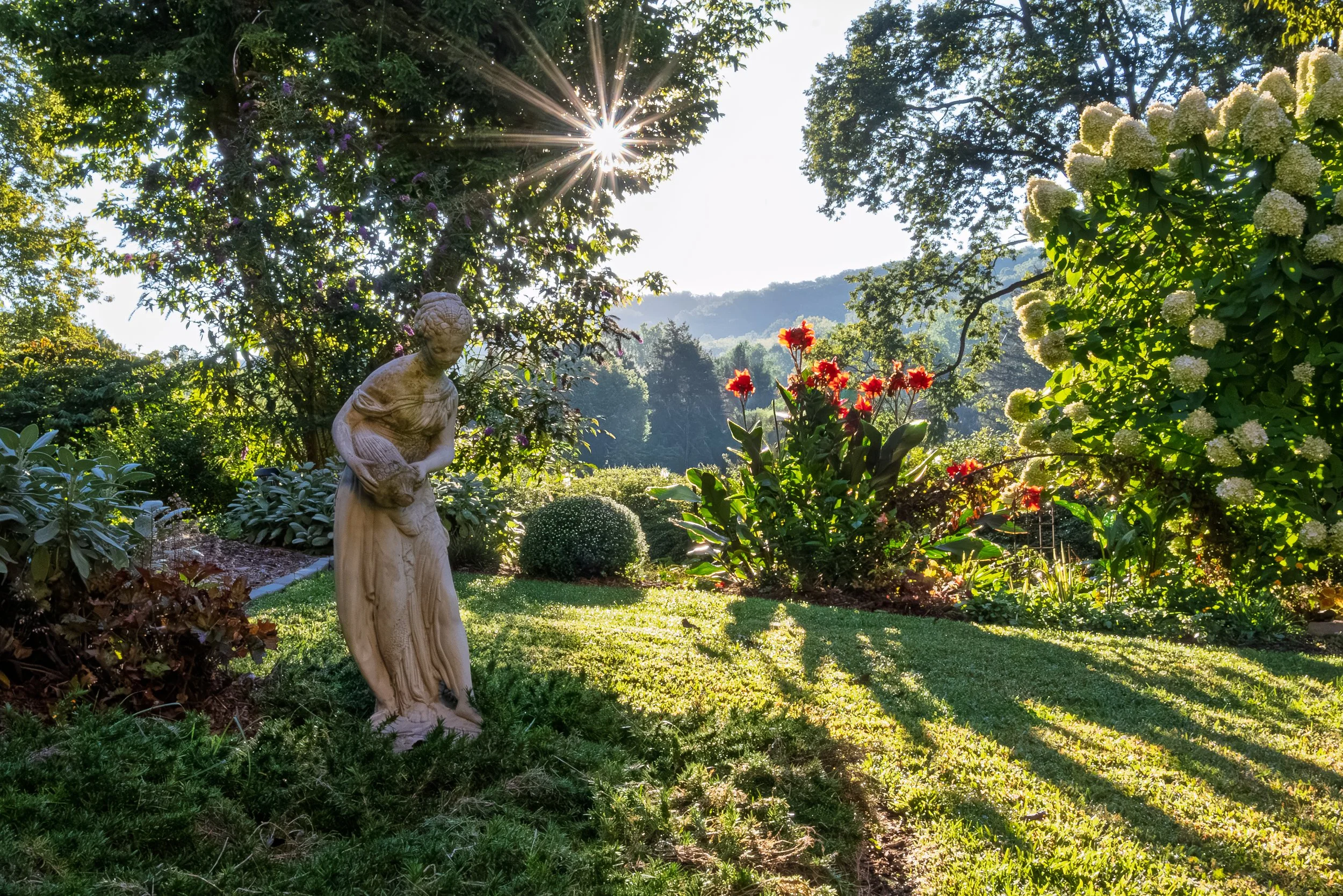 Sitting in the garden