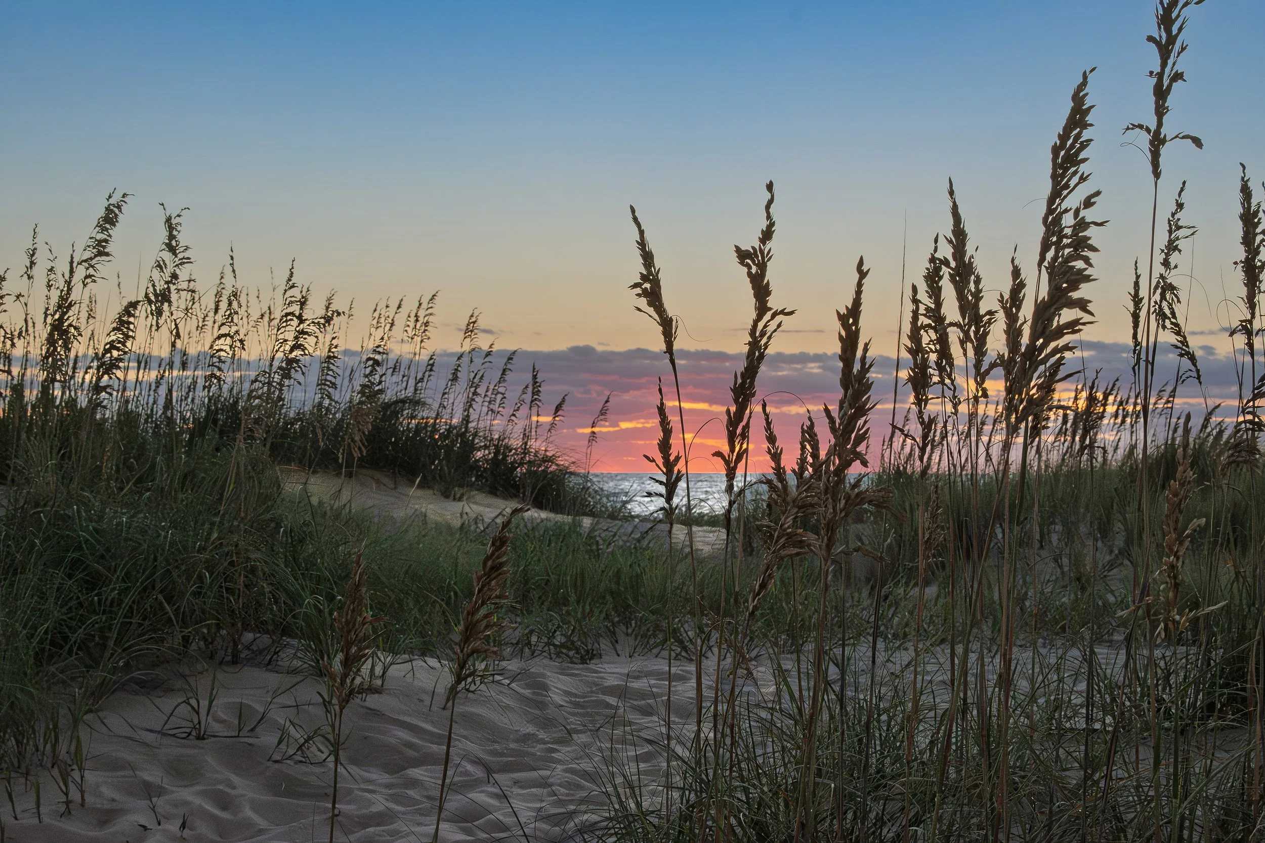 Walking out to the beach, the sea oats guide your way, and the ocean is there to welcome you