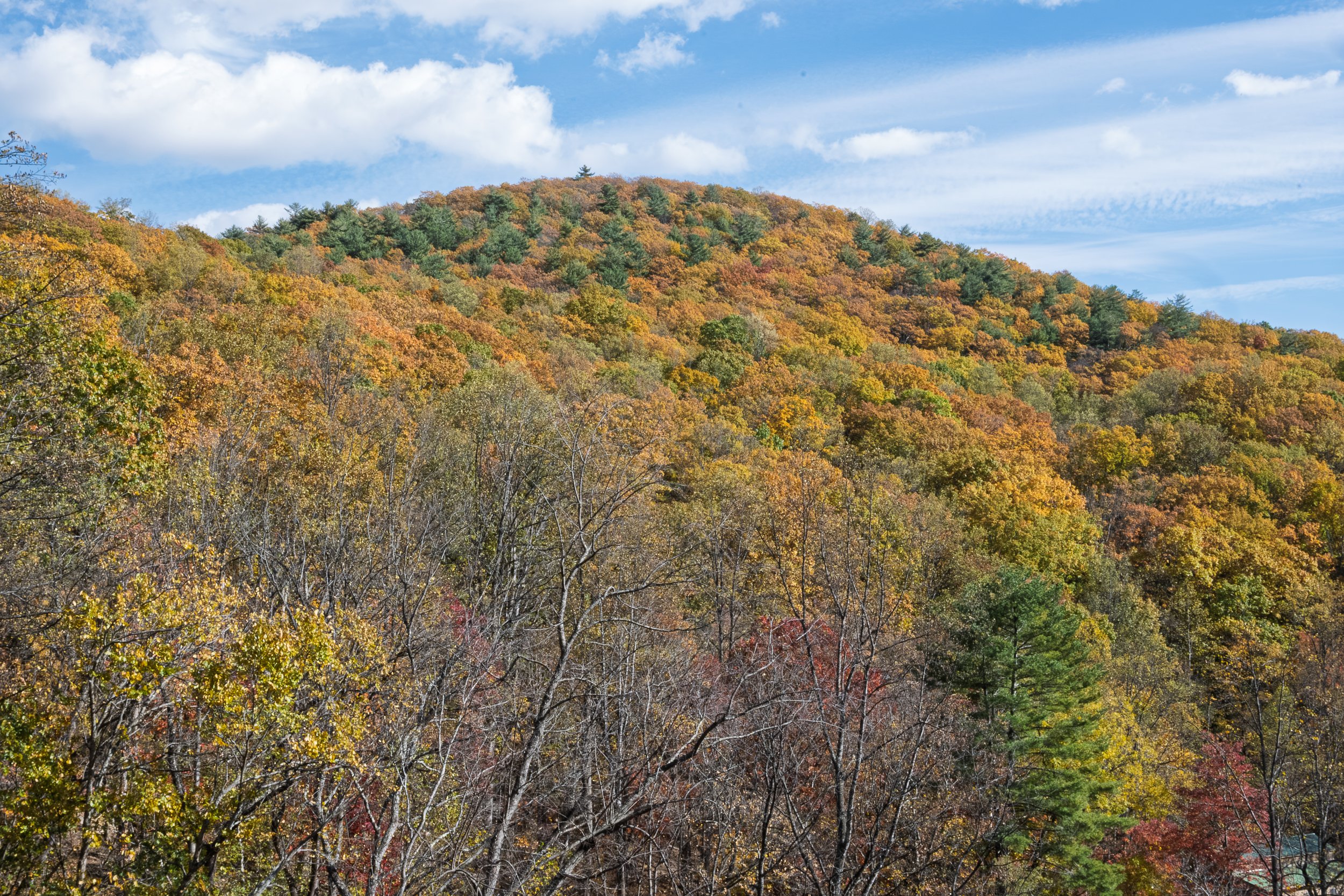 DSC_5541.jpg