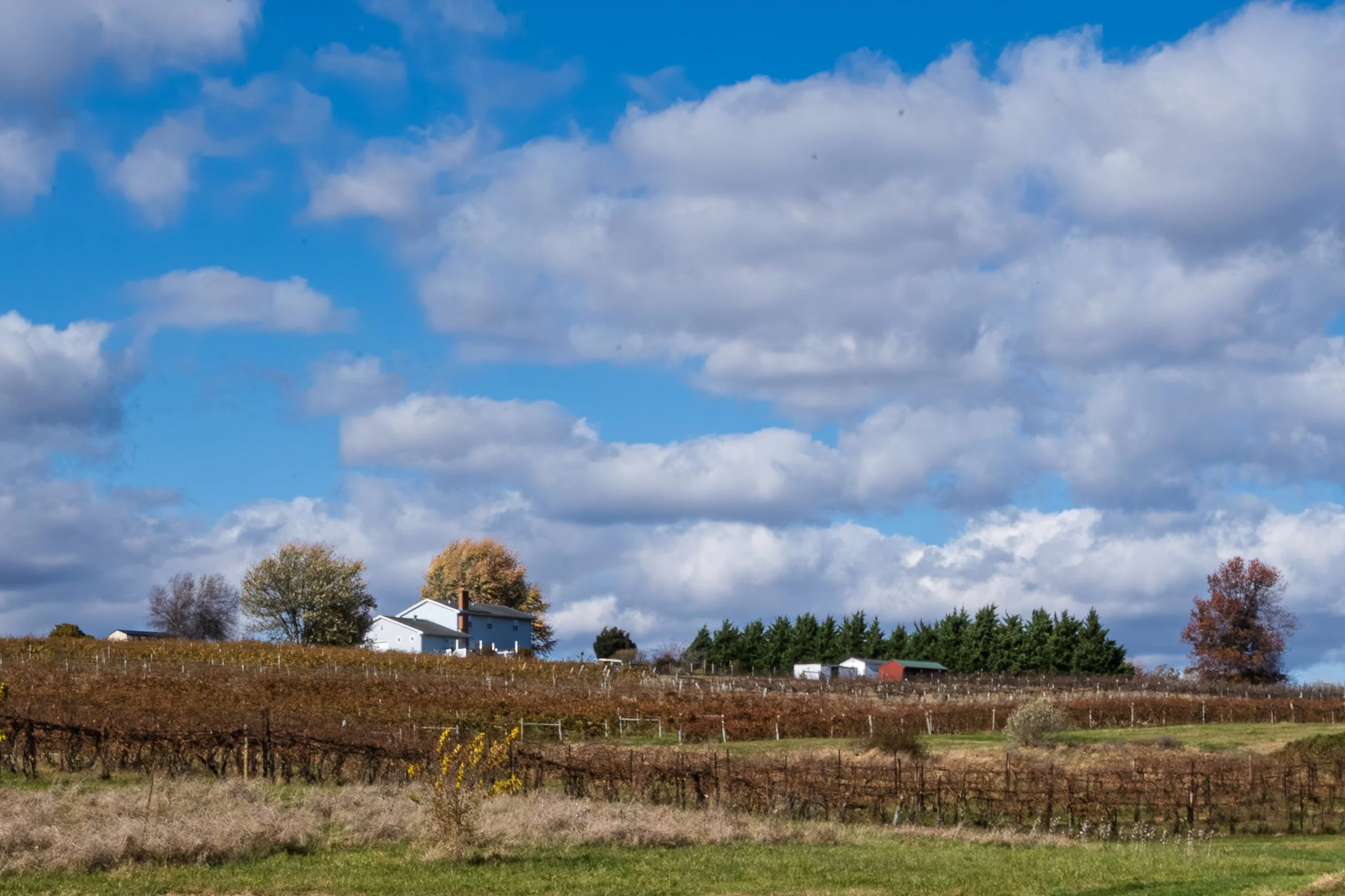 DSC_5288.jpg