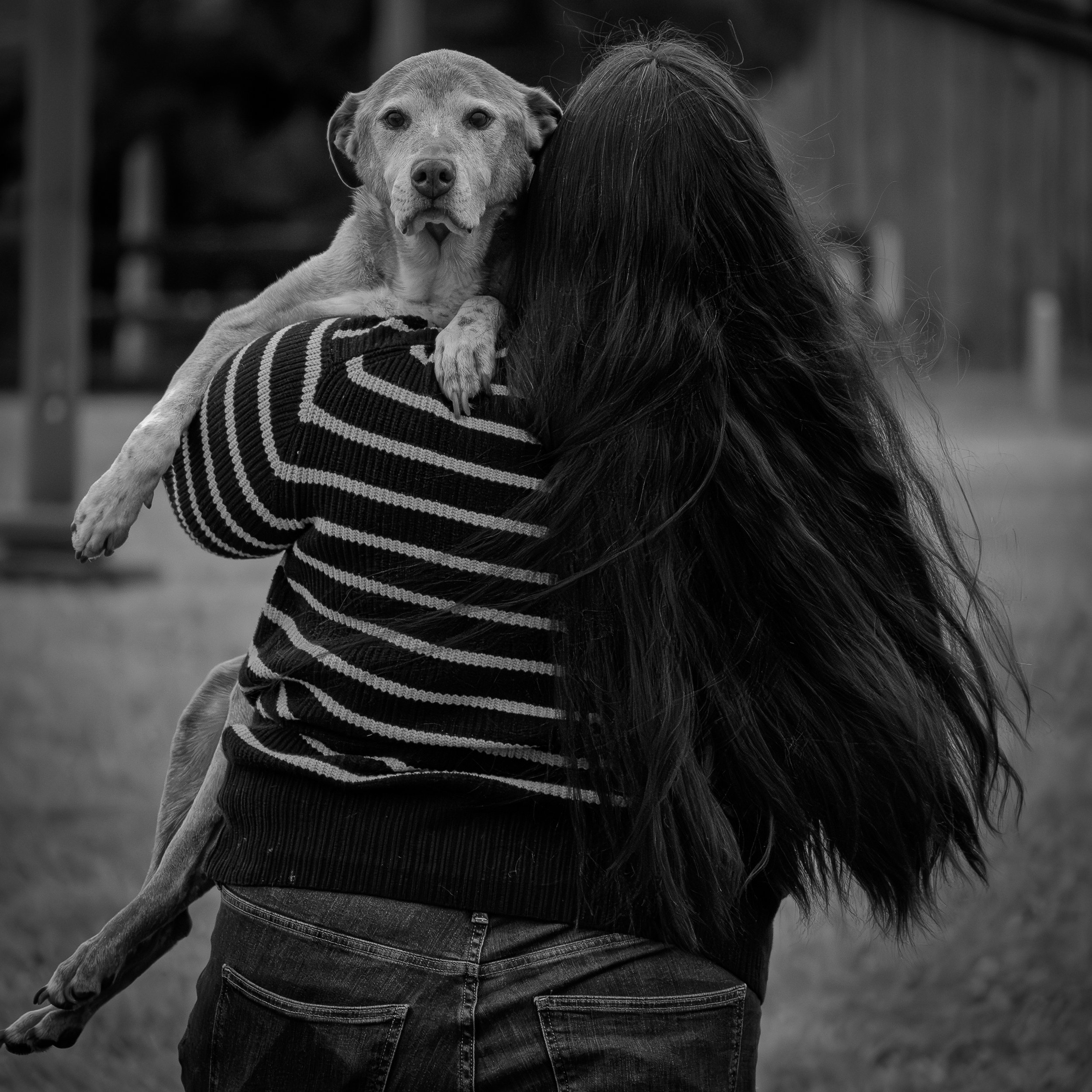 A person with long hair wearing a striped sweater and jeans is holding a dog in her arms. The dog faces the camera with an alert expression, and the background is blurred.