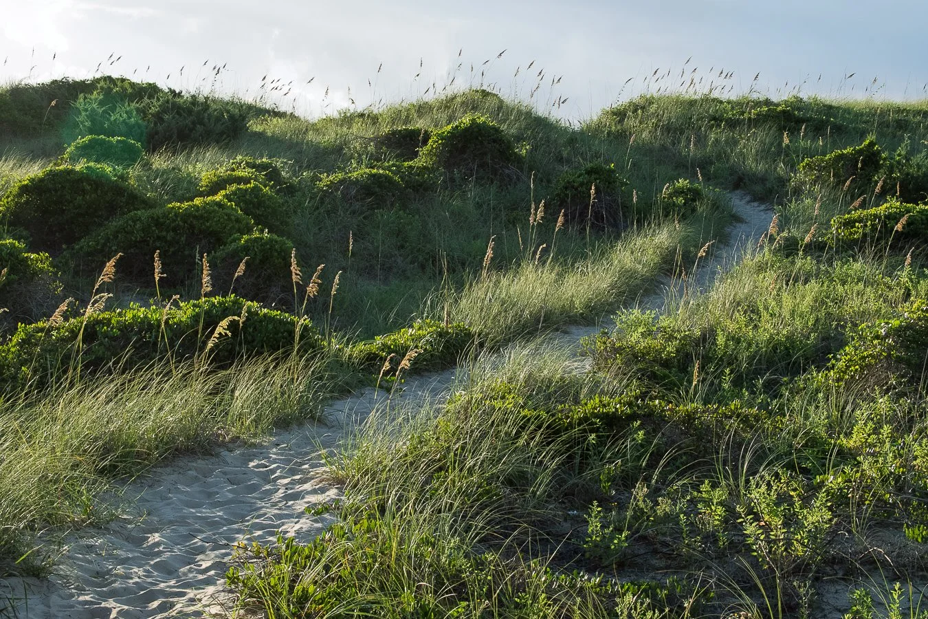 Path over the Dune