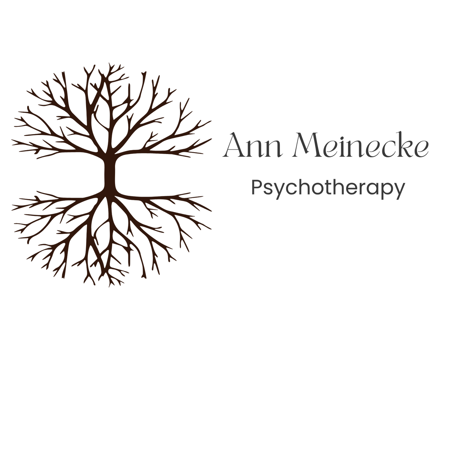 Ann Meinecke Psychotherapy