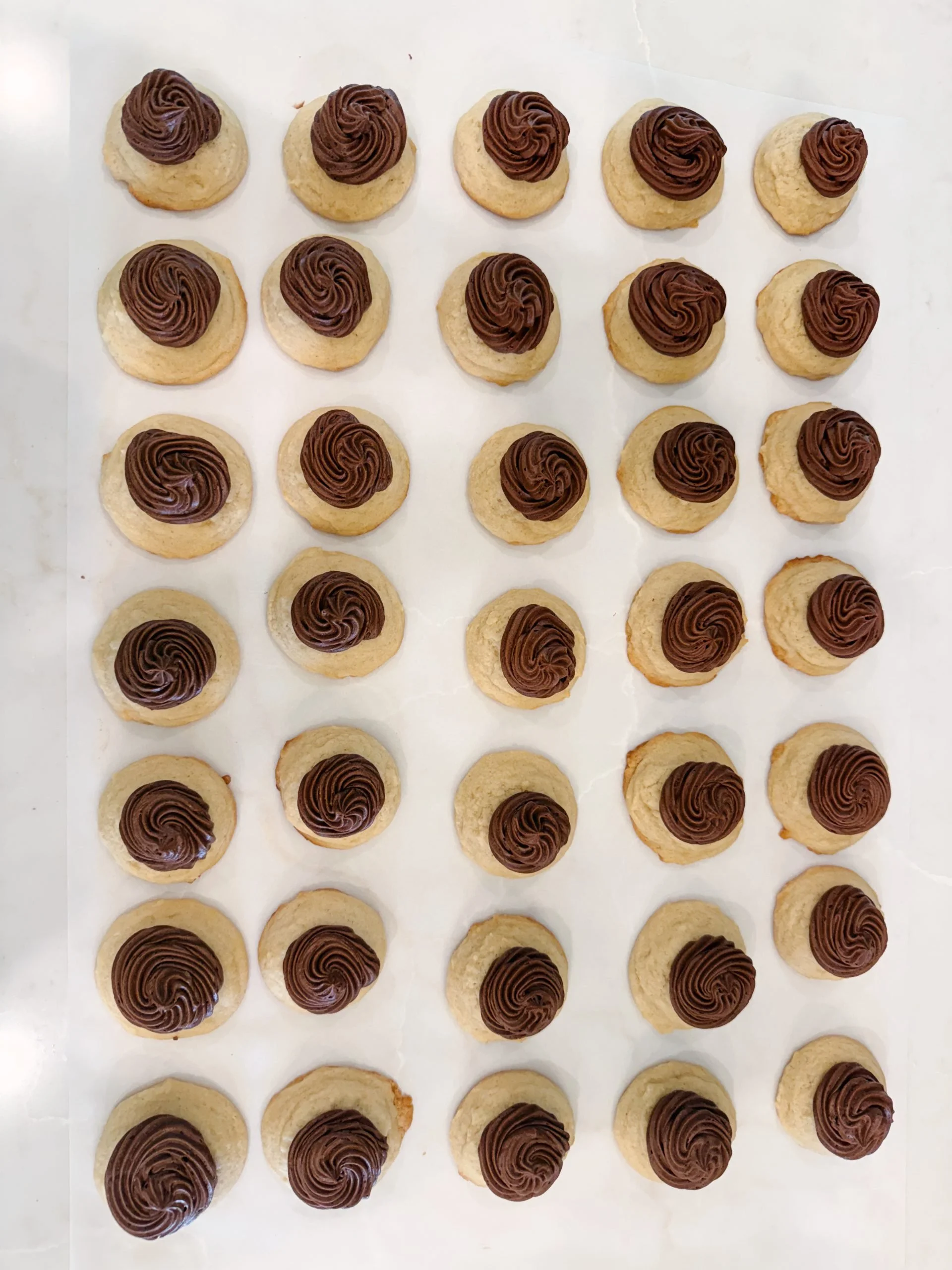 Sugar Cookies with the Best Chocolate Fudge Icing