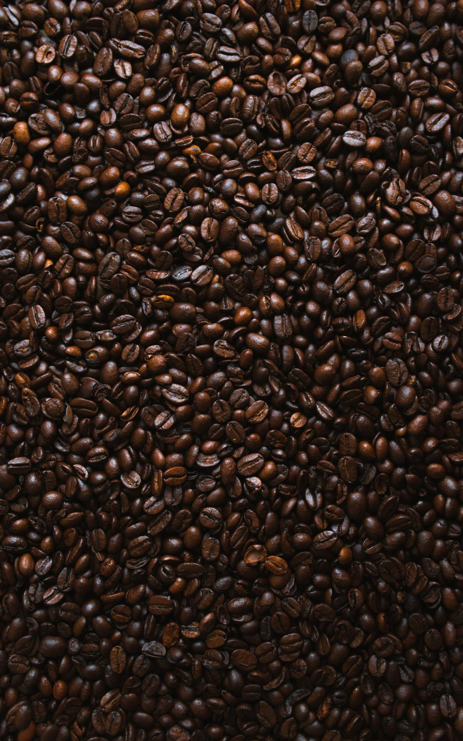 Close-up of roasted coffee beans covering the entire surface.