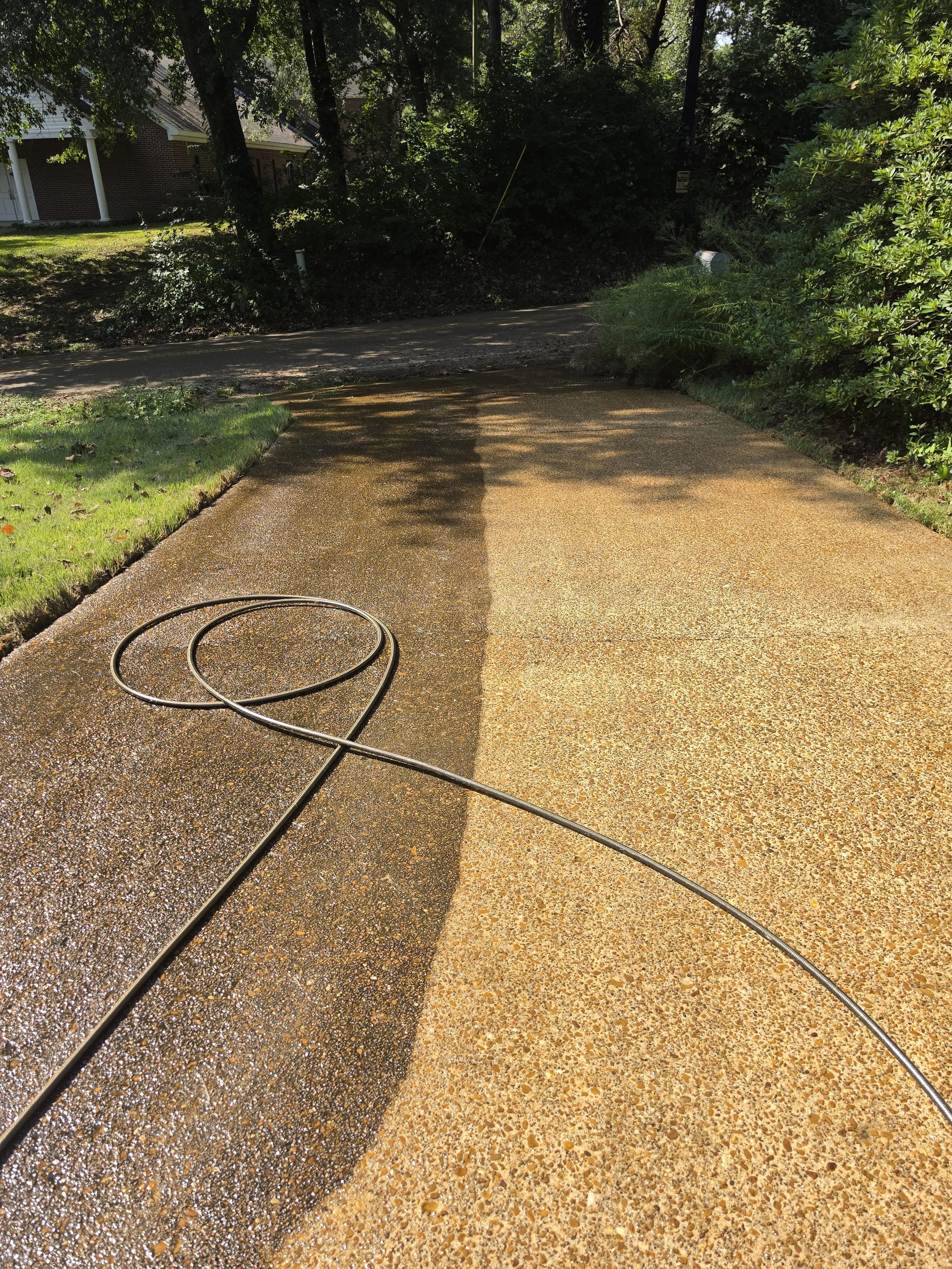 A driveway with a section of wet concrete on one side and dry concrete on the other, with a garden hose on the driveway, surrounded by trees and bushes.