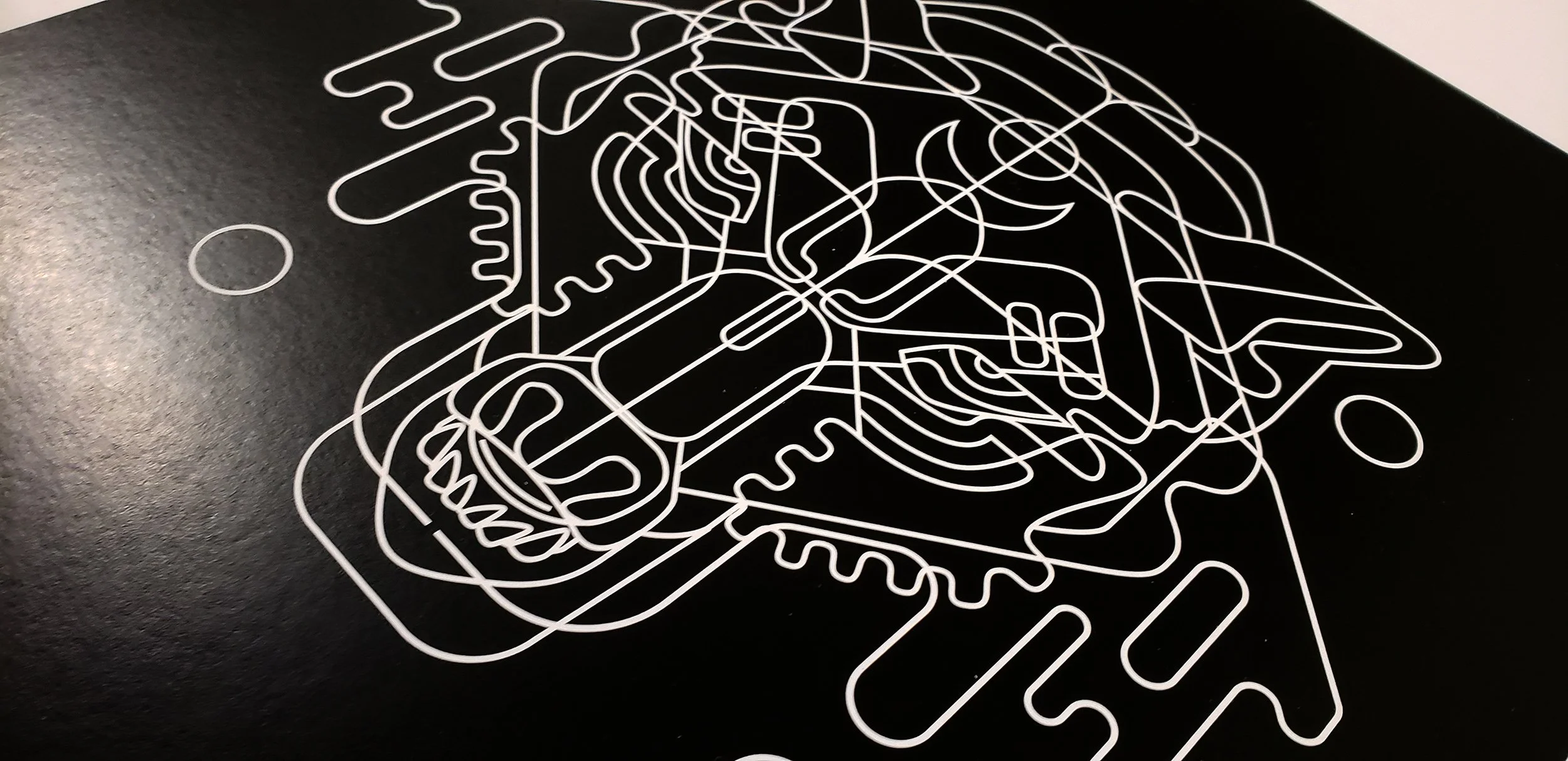 Mesmo Lupus Detail
2018
14 x 11 inches
Digital print
