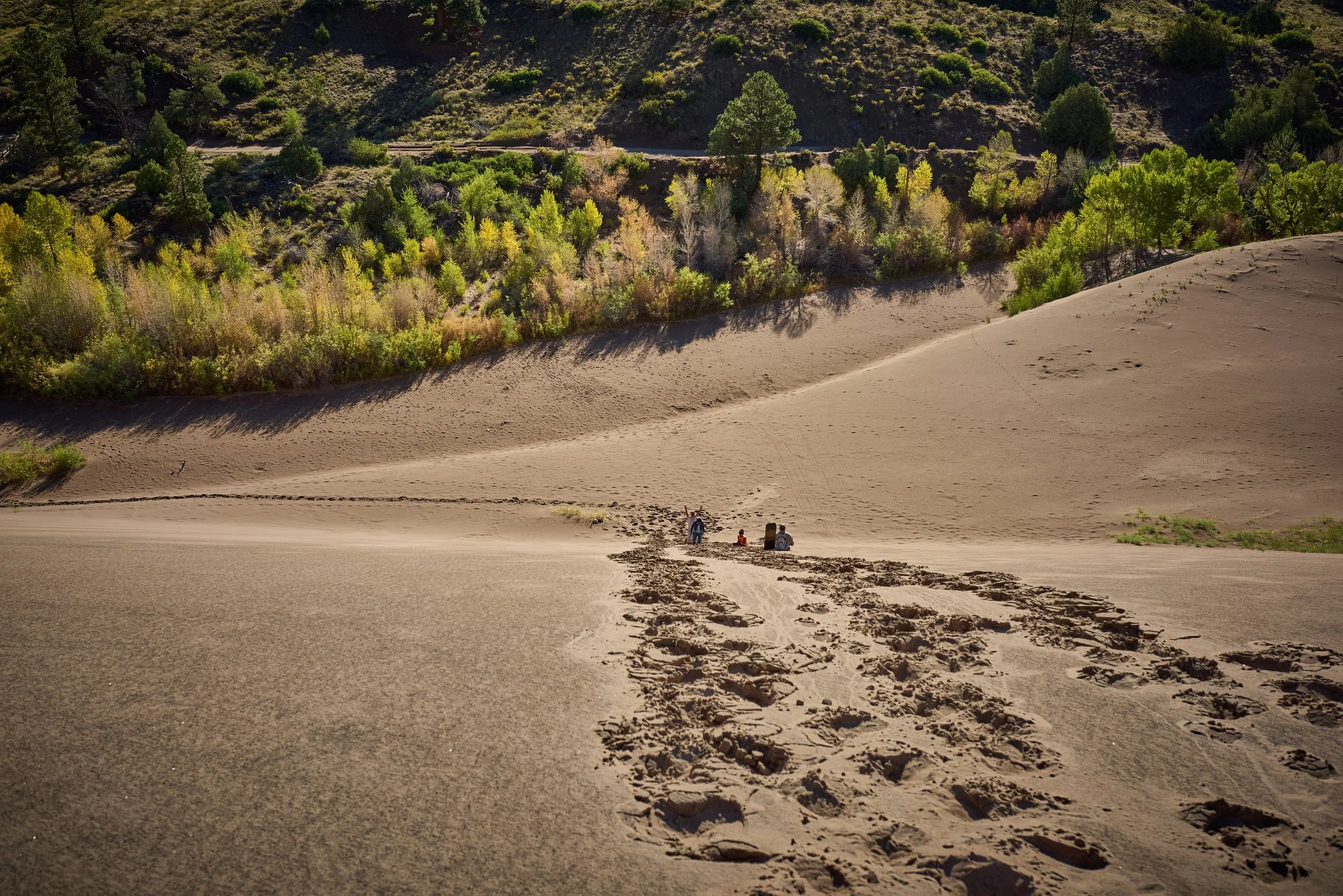 A desert with a large sand dune in the foreground and a group of people sitting near the base. In the background, there are green trees and shrubs on a hillside under clear sky.