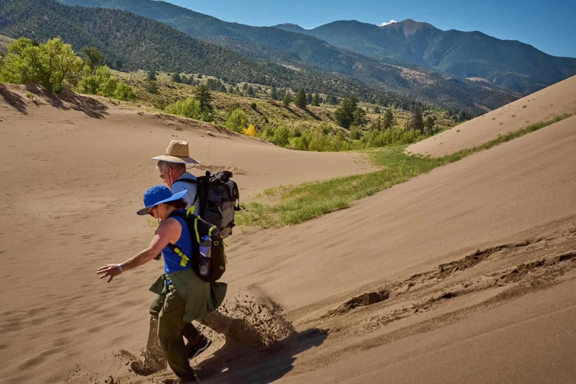 Two hikers, an older man and a woman, walking through a sandy desert landscape with mountains and green trees in the background. The man is wearing a straw hat, glasses, and a blue shirt. The woman is wearing a blue hat and a blue shirt. They are carrying backpacks.