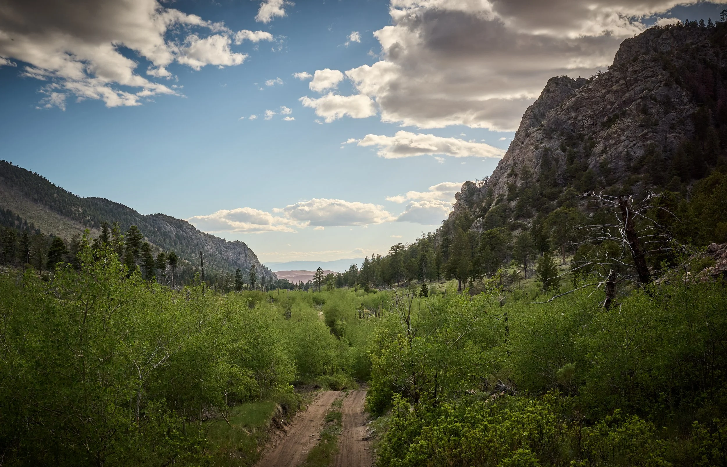 A dirt road running through a dense green forest with tall mountains on either side and a partly cloudy sky overhead.