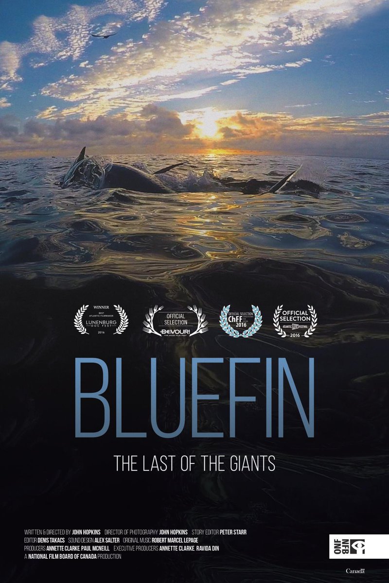Bluefin