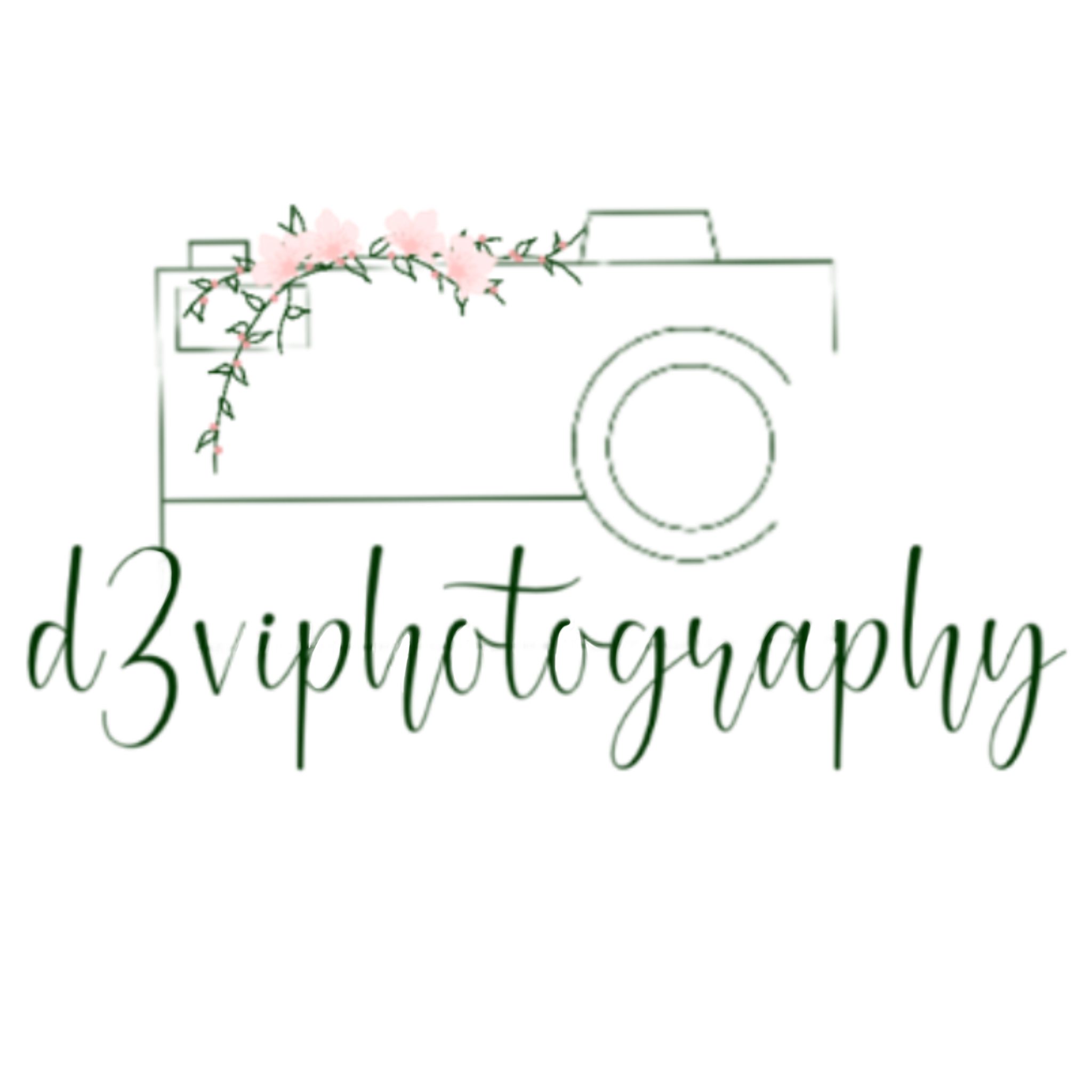 D3 VIPhotography Logo