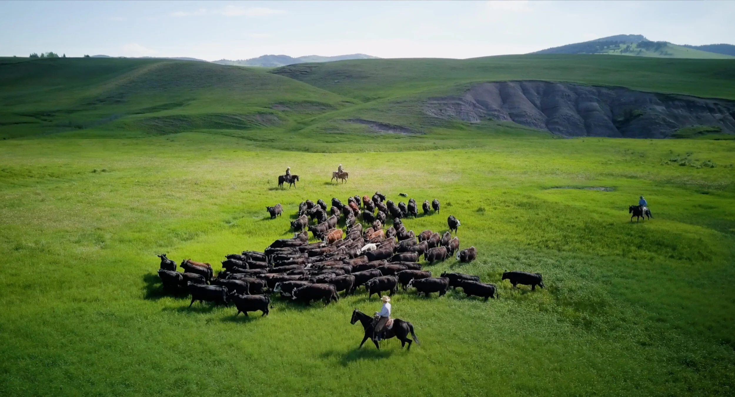 Guardians of the Grasslands