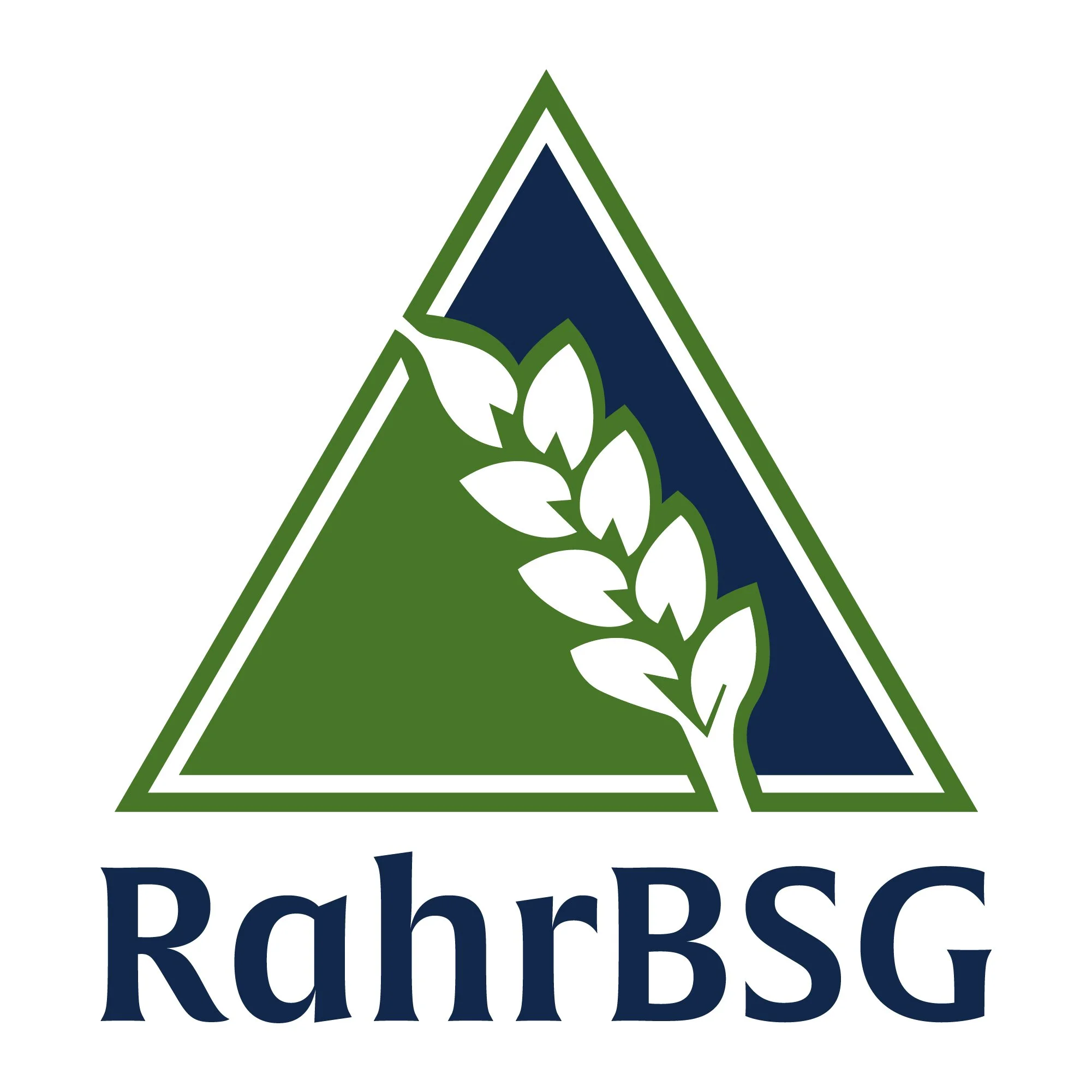 BSG Canada logo.png