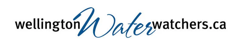 WWW-logo.jpg