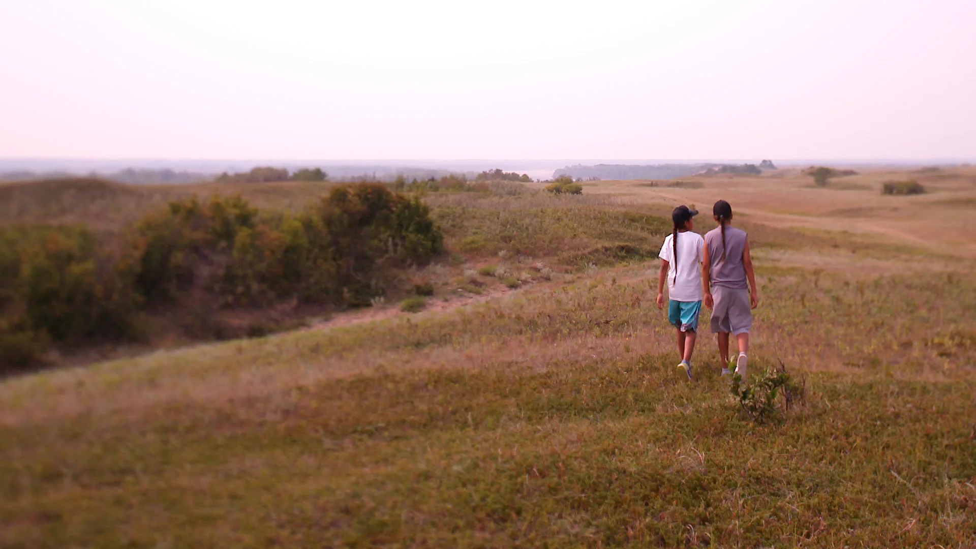 nîpawistamâsowin: We Will Stand Up&nbsp;
