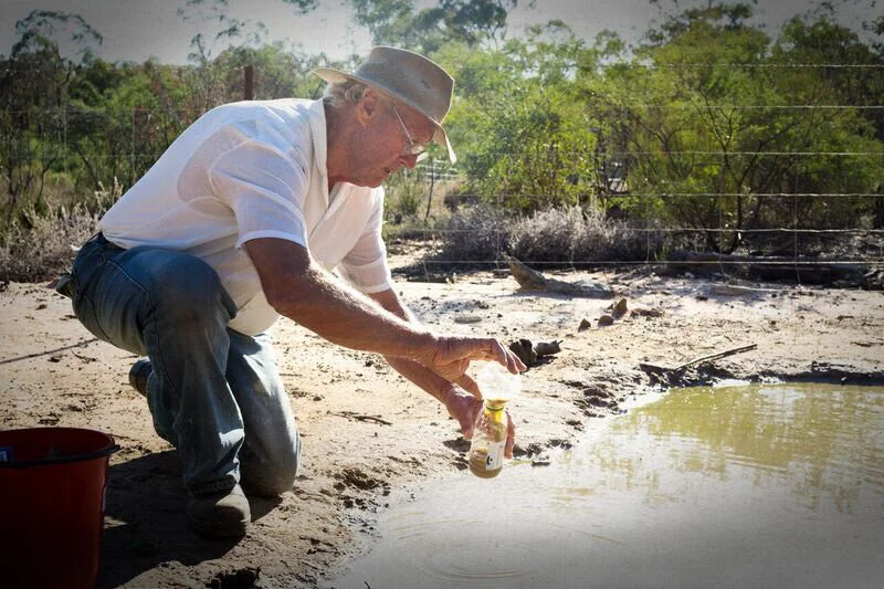 PIlliga rising.jpg