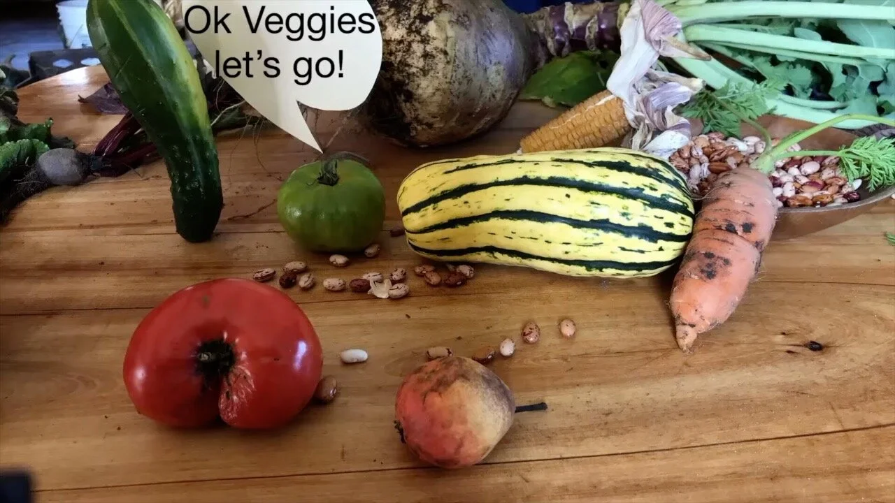 Tiny Food Docs 2020 Series 2 copy.jpeg