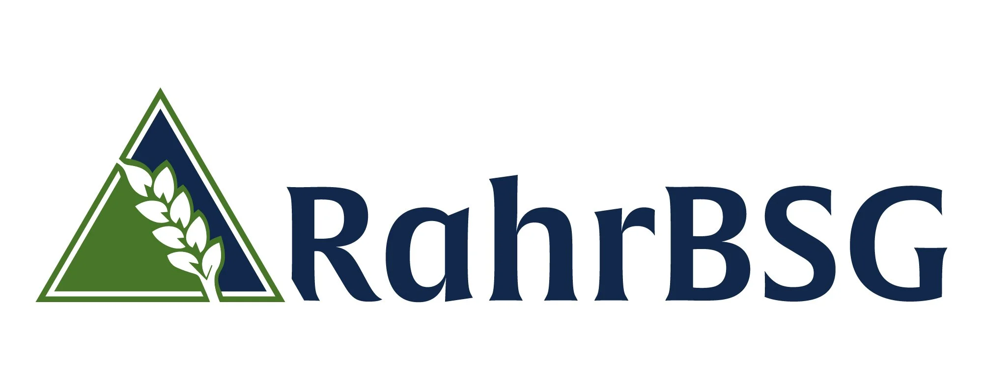 RahrBSG-WEB-large-horizontal.jpg