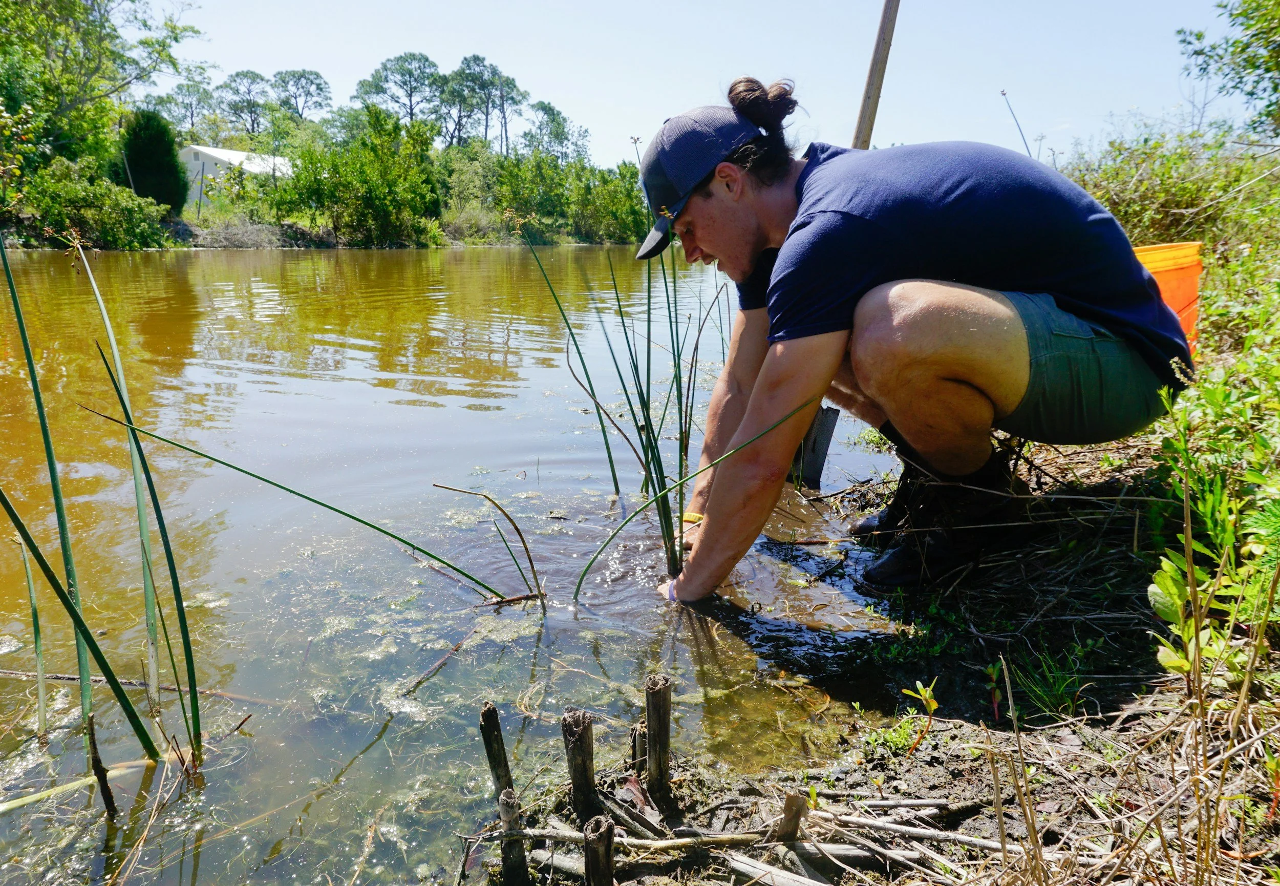 The Many Benefits of Nature Volunteering