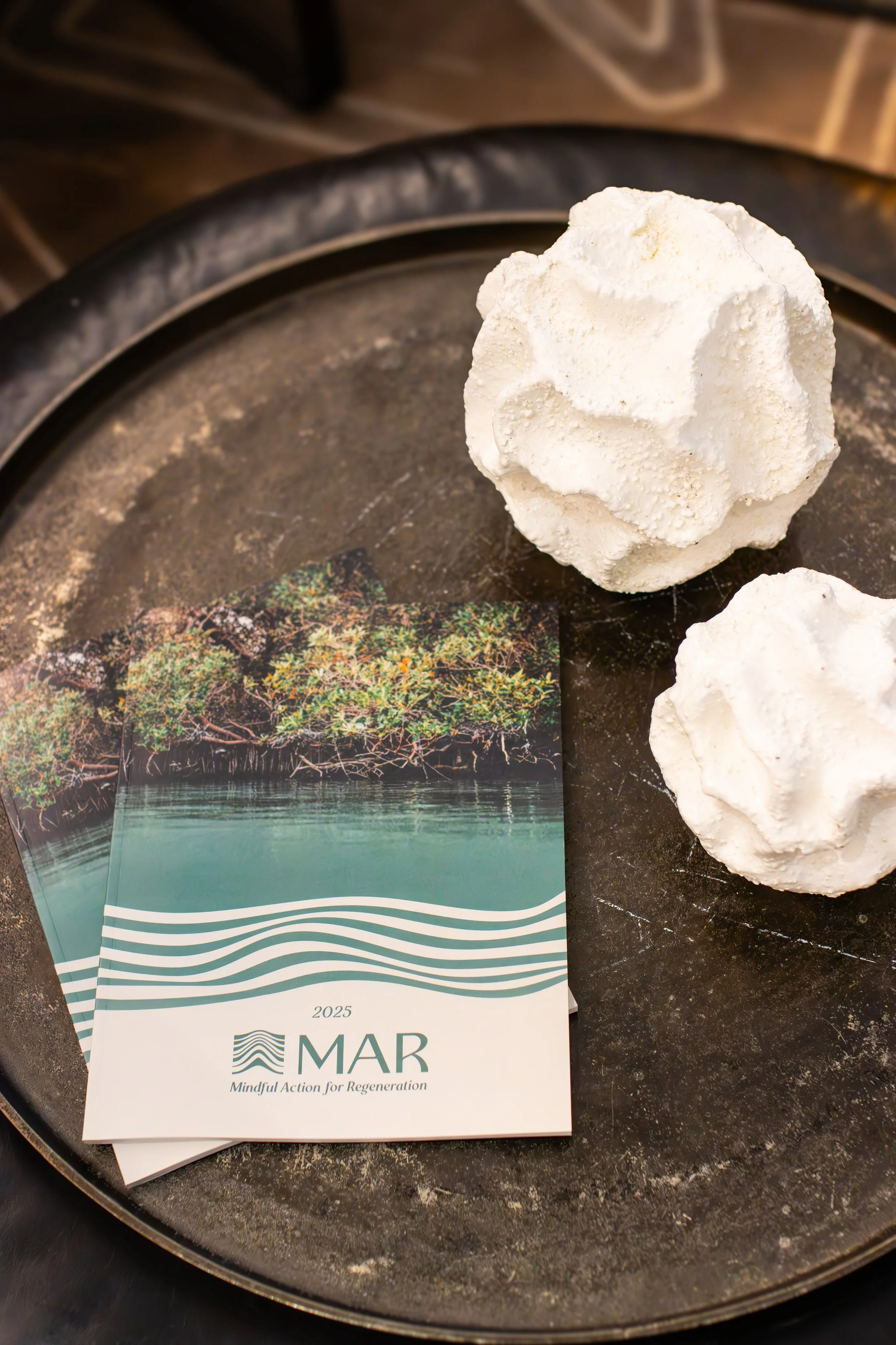 A black tray holding three white meringue cookies and a pamphlet with the title '2025 MAP' and the subtitle 'Mindful Action for Regeneration' alongside an image of a lakeside with trees.