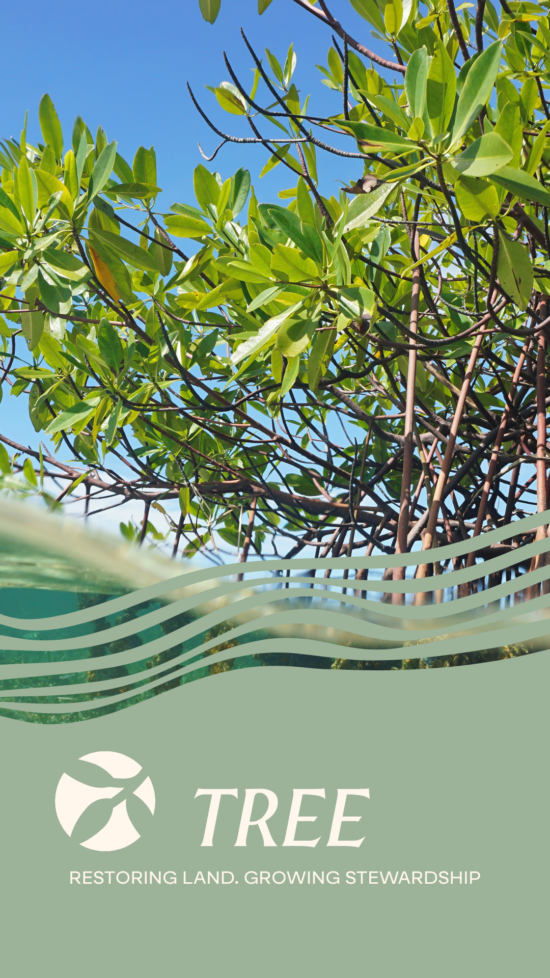 Close-up of lush green leaves on a tree with a bright blue sky in the background, partly obscured by an overlay that reads 'TREE' and 'Restoring Land. Growing Stewardship'.