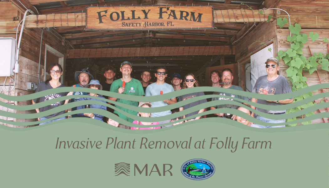 Group of people standing under a wooden sign that reads 'Folly Farm, Safety Harbor, FL.' They are smiling and holding popsicles, standing in front of a wooden structure. A green overlay at the bottom contains the text 'Invasive Plant Removal at Folly Farm' and logos for MAR and the City of Safety Harbor.