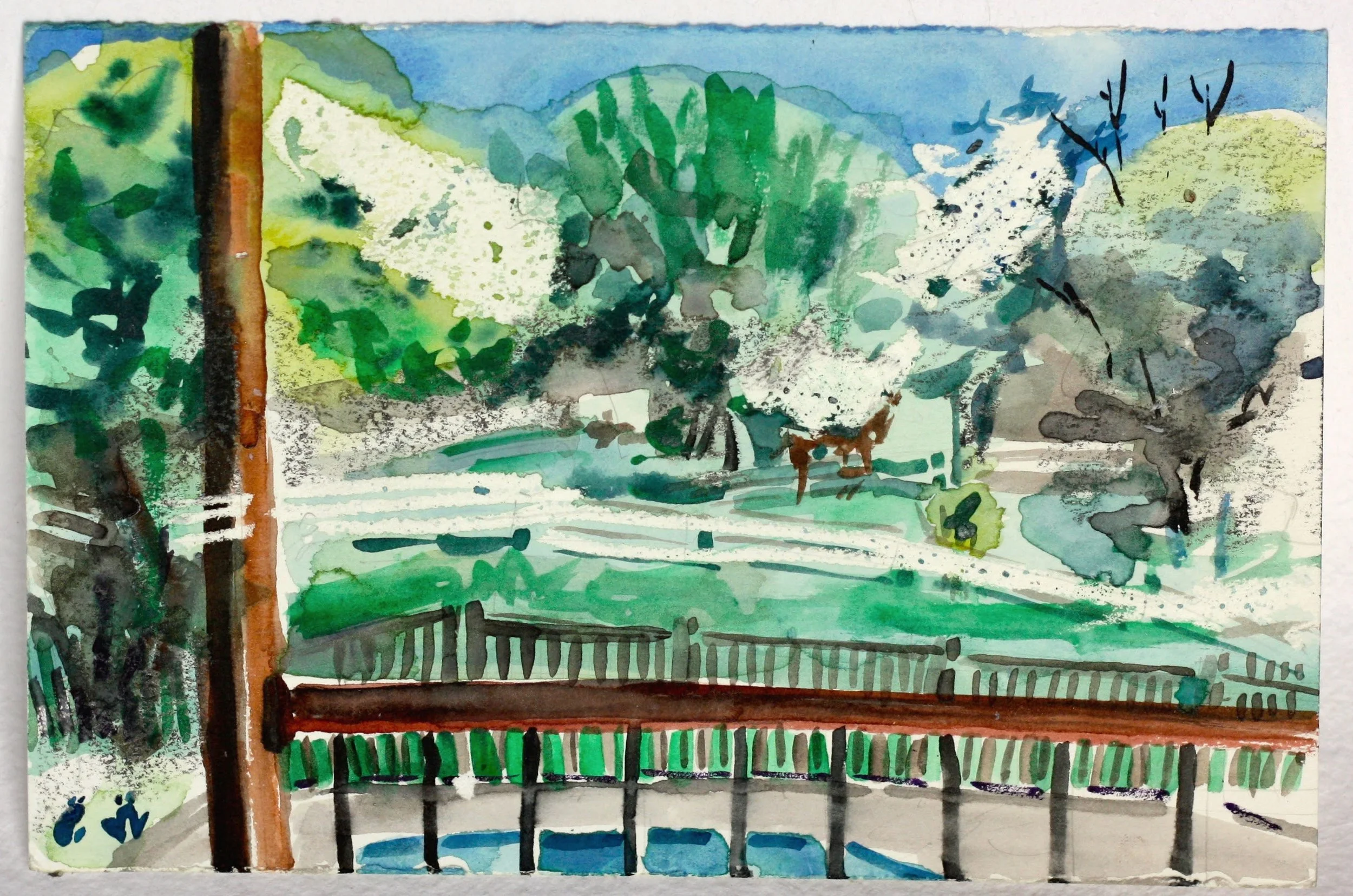Danielle's Backyard 2011 6 1/2" x 9 3/4"