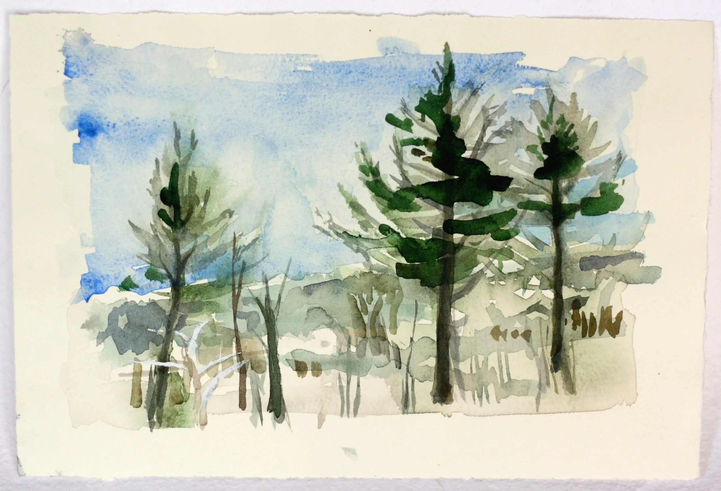 Vermont 2012 7 1/2" x 11"