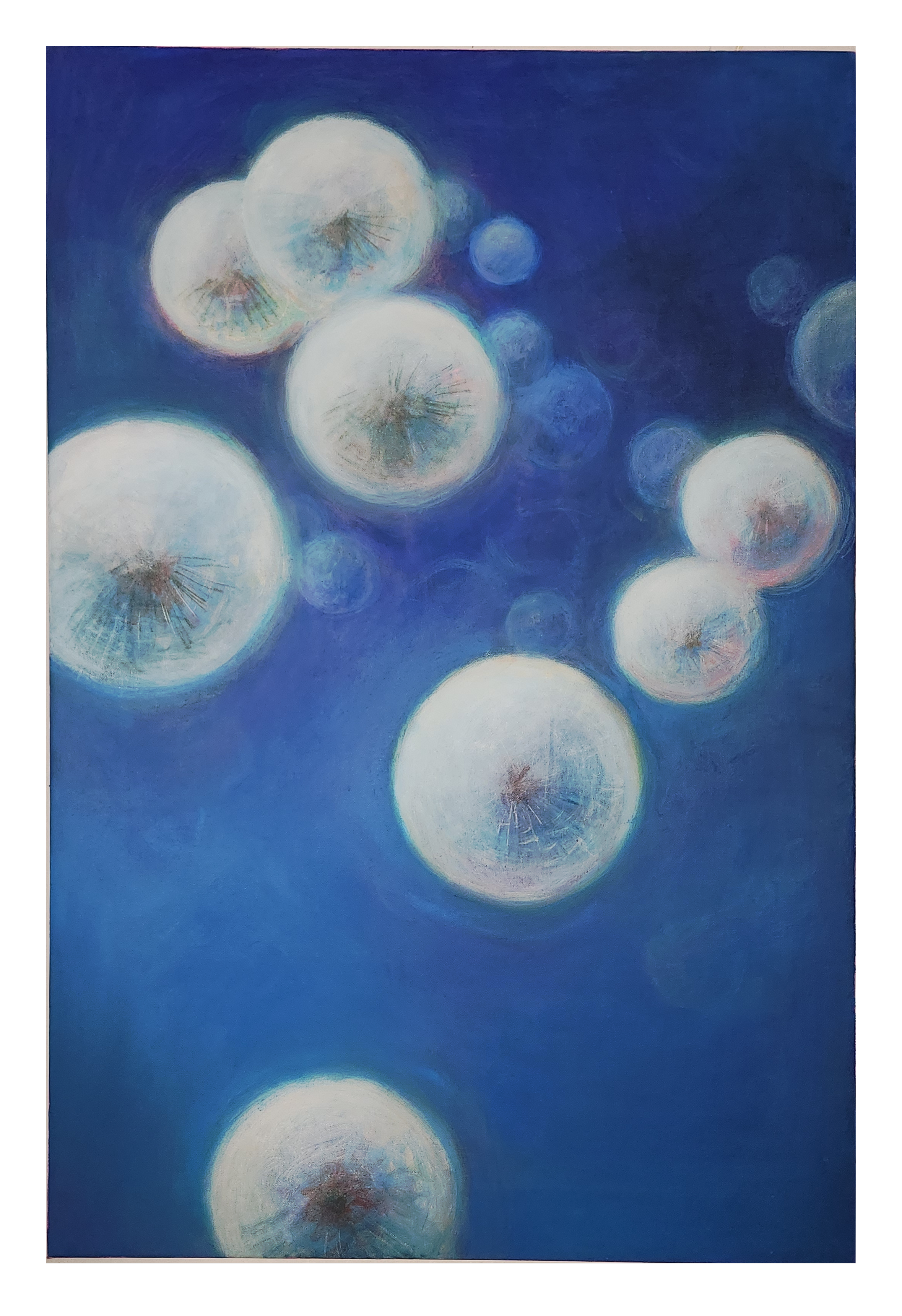 Painting of white dandelions with detailed seed heads against a dark blue background.