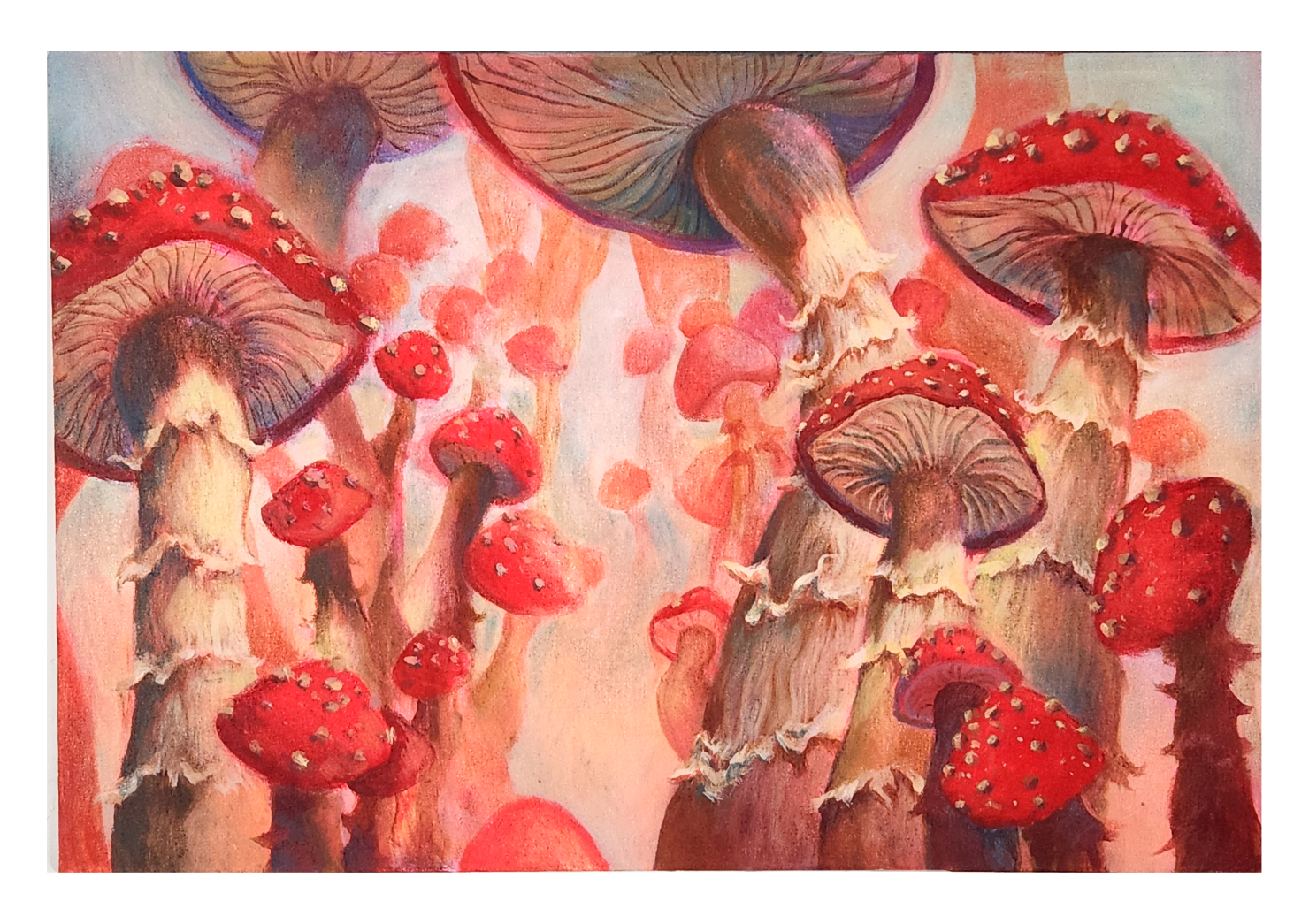 A painting of red mushrooms with white spots, some large and some small, set against a soft pink and orange background.