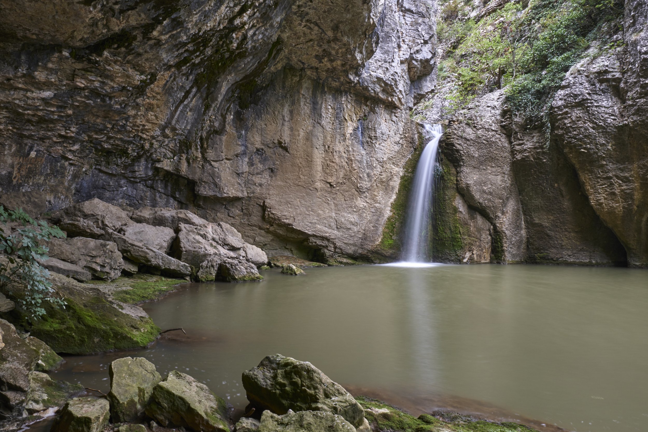 DSCF4708.jpg