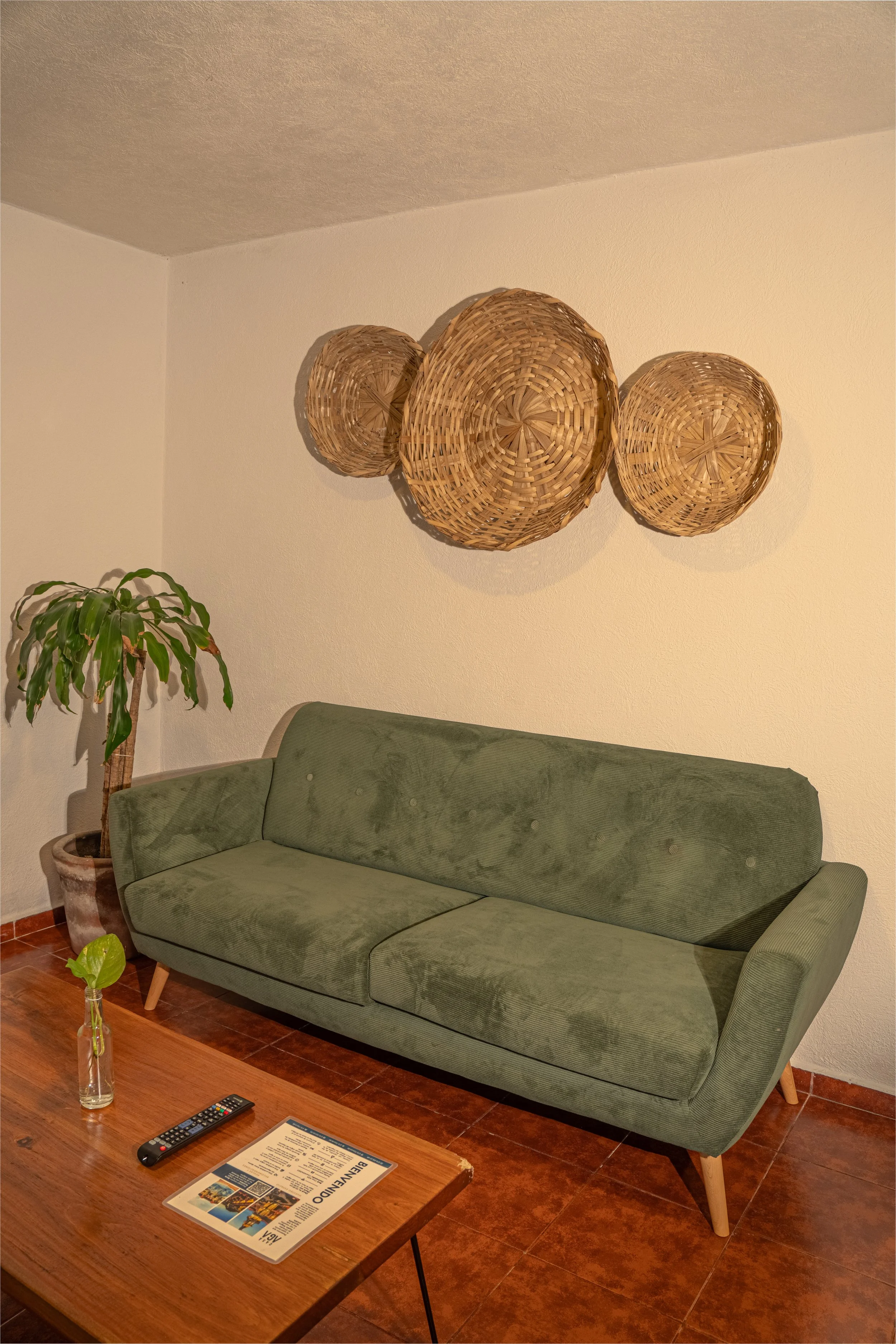 DSC00516-HDR.jpg