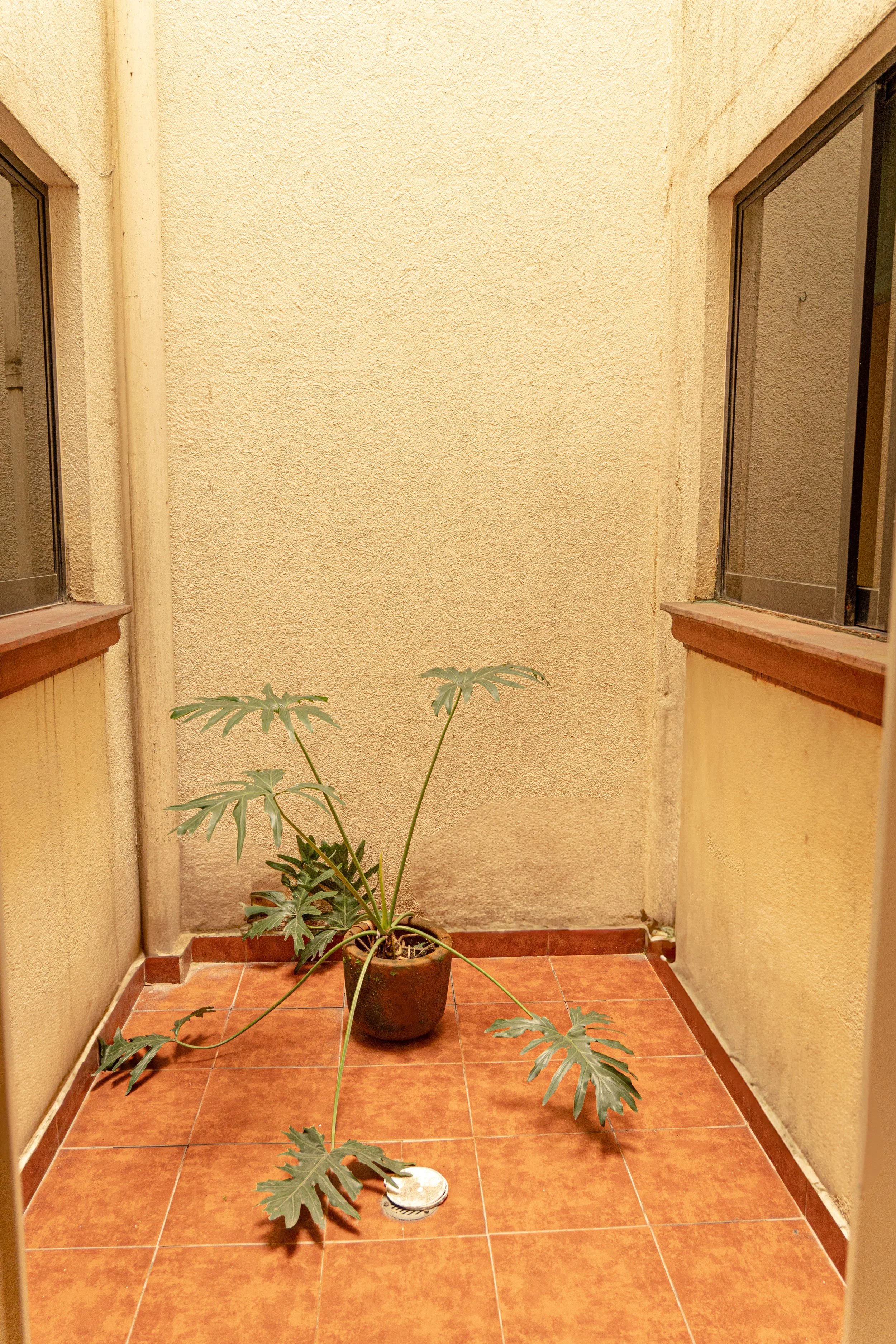 DSC09847.jpg